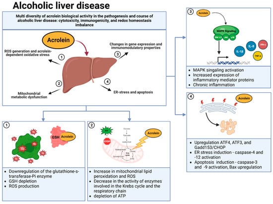 IJMS | Free Full-Text | Diet as a Source of Acrolein: Molecular Basis ...