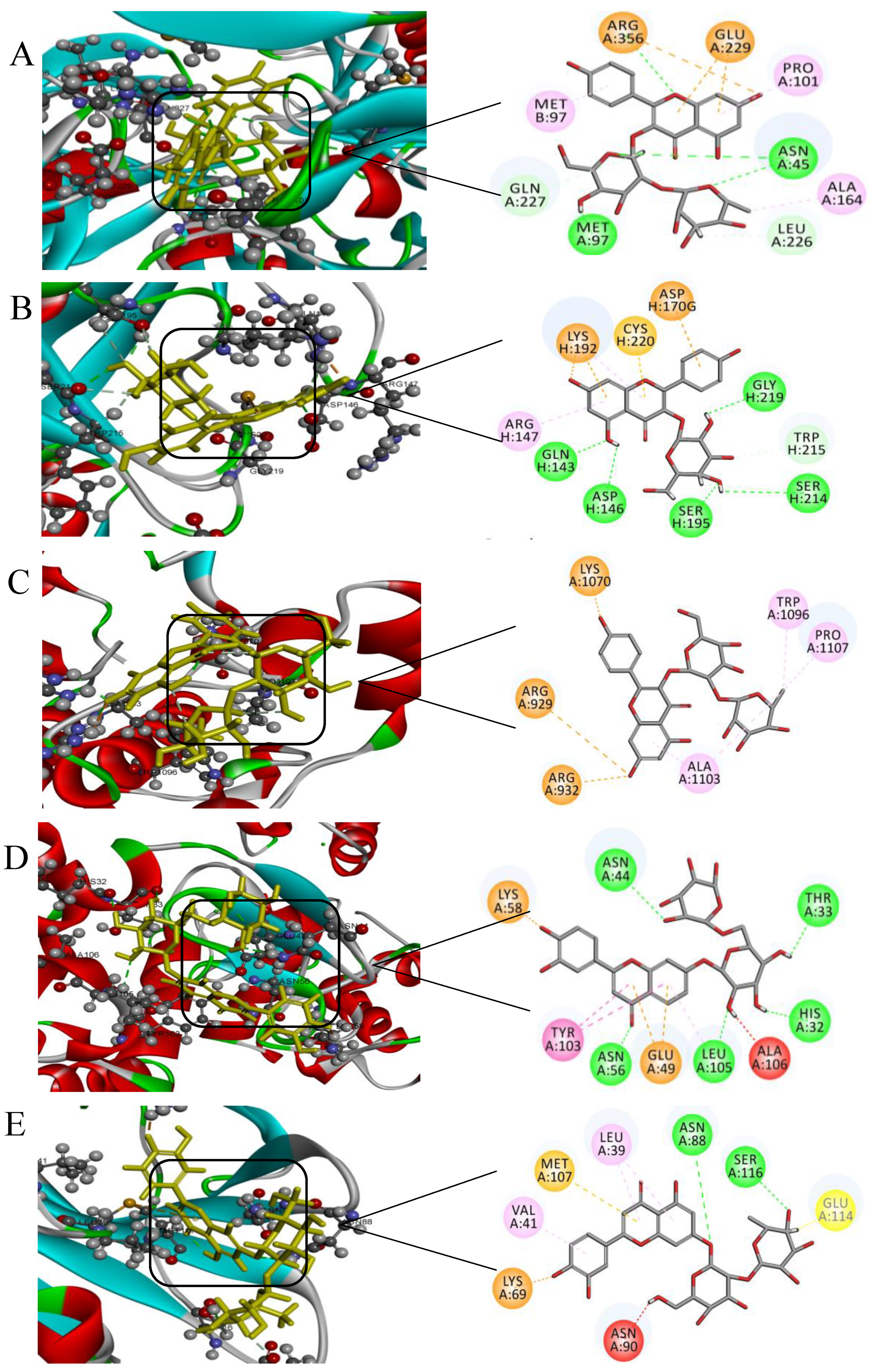 Ijms 24 06582 g004 Ijms 24 06582 g004