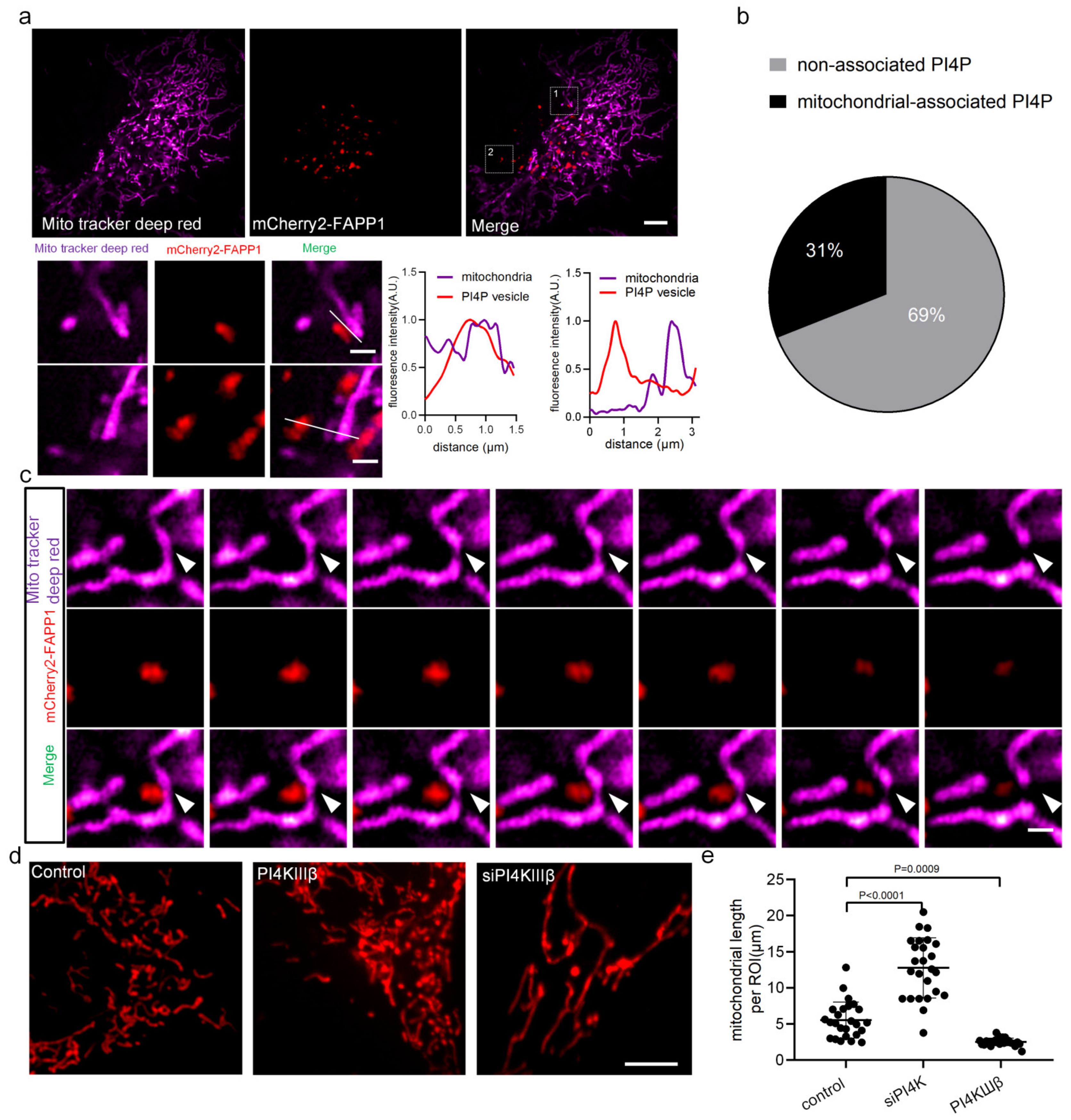 Ijms 24 06593 g001 Ijms 24 06593 g001