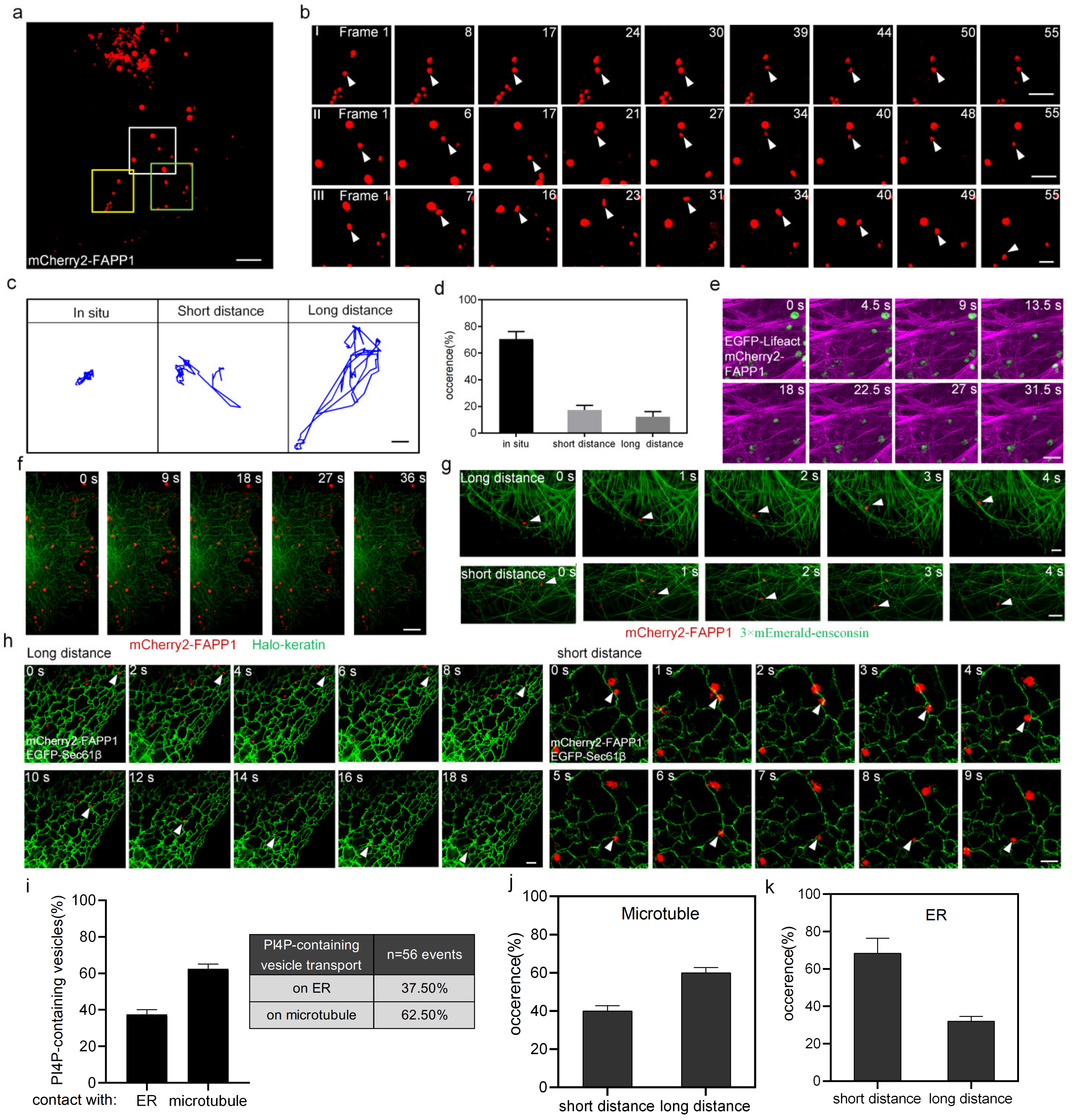 Ijms 24 06593 g002 Ijms 24 06593 g002
