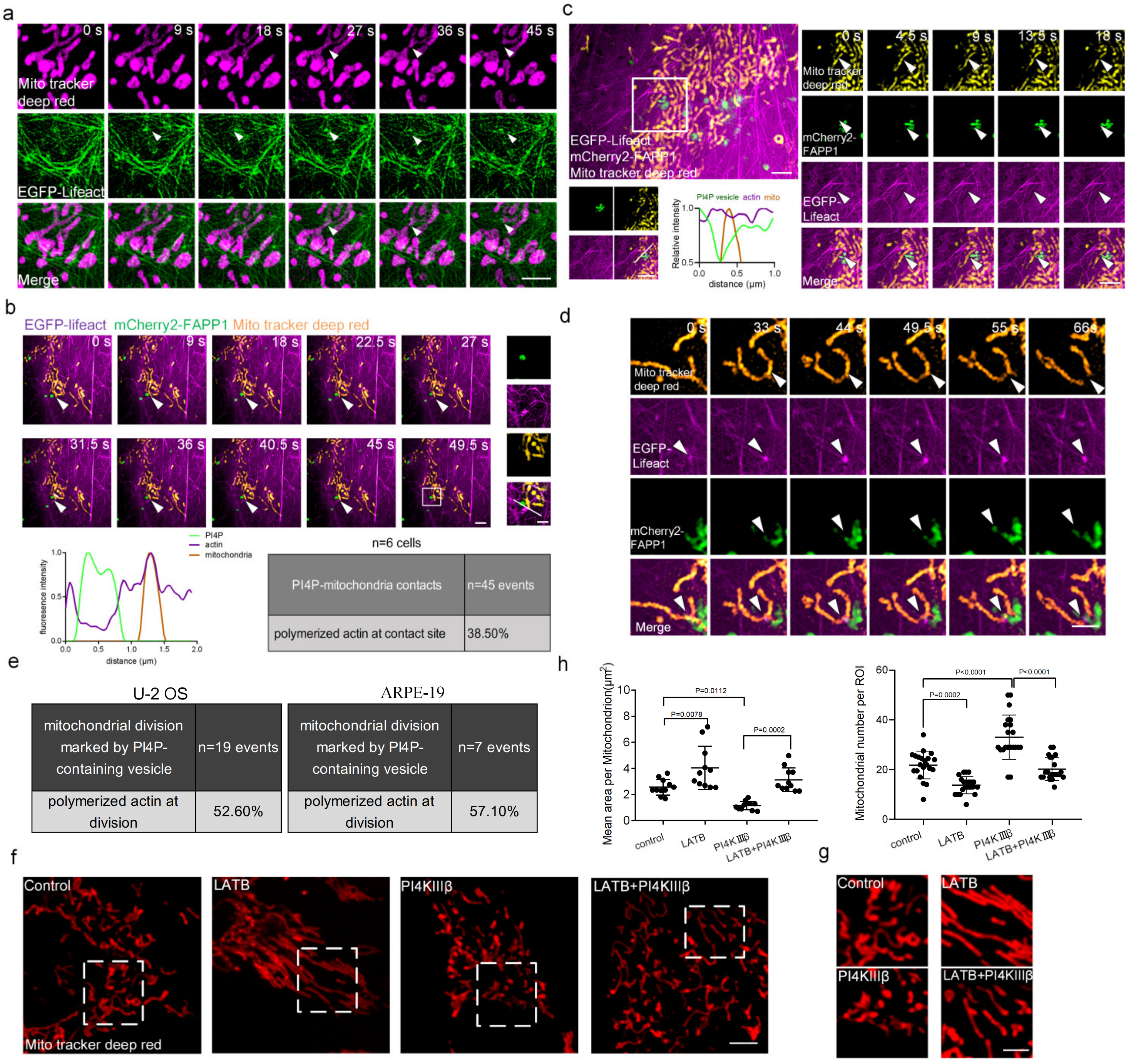 Ijms 24 06593 g004 Ijms 24 06593 g004