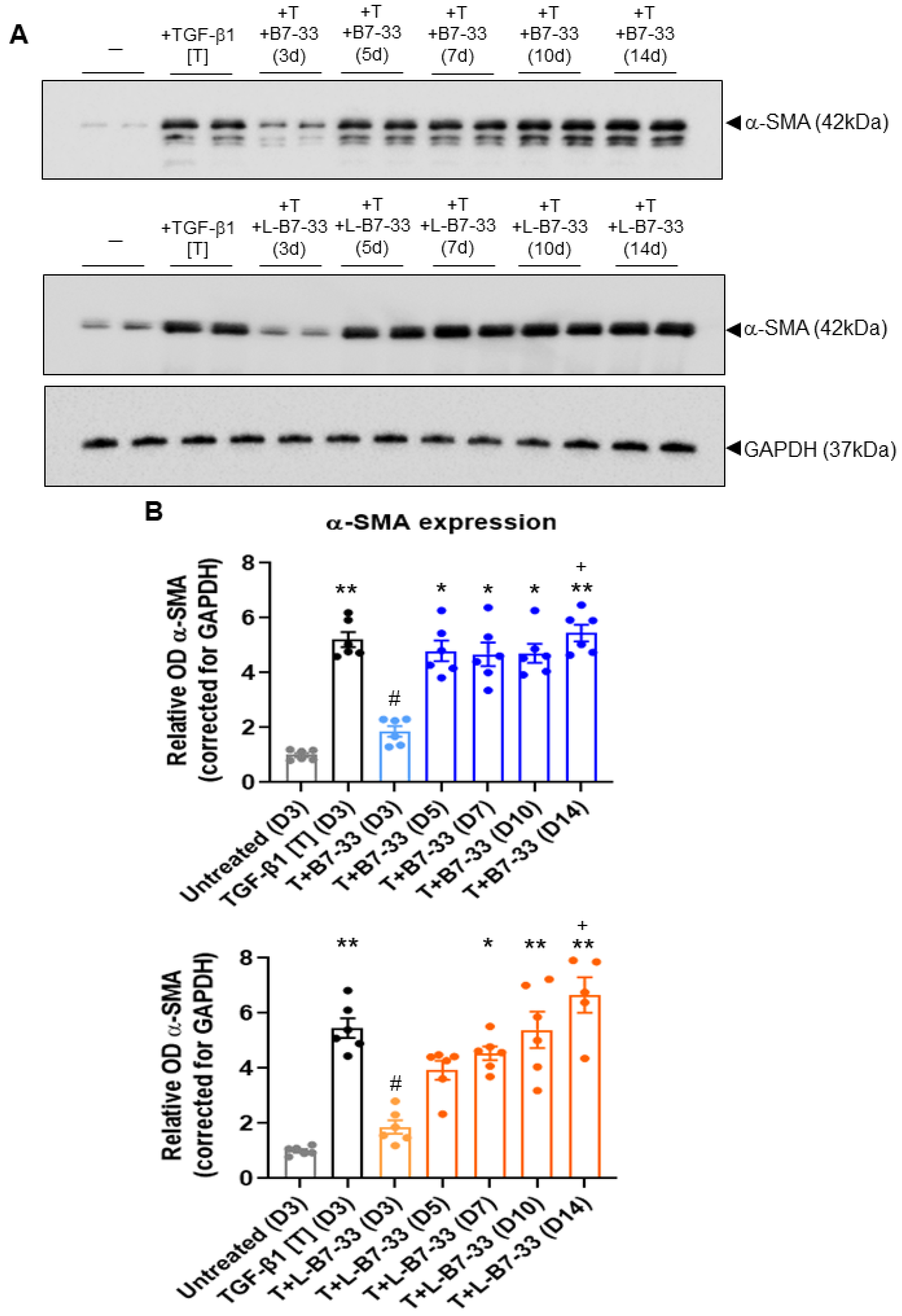 Ijms 24 06616 g006 Ijms 24 06616 g006