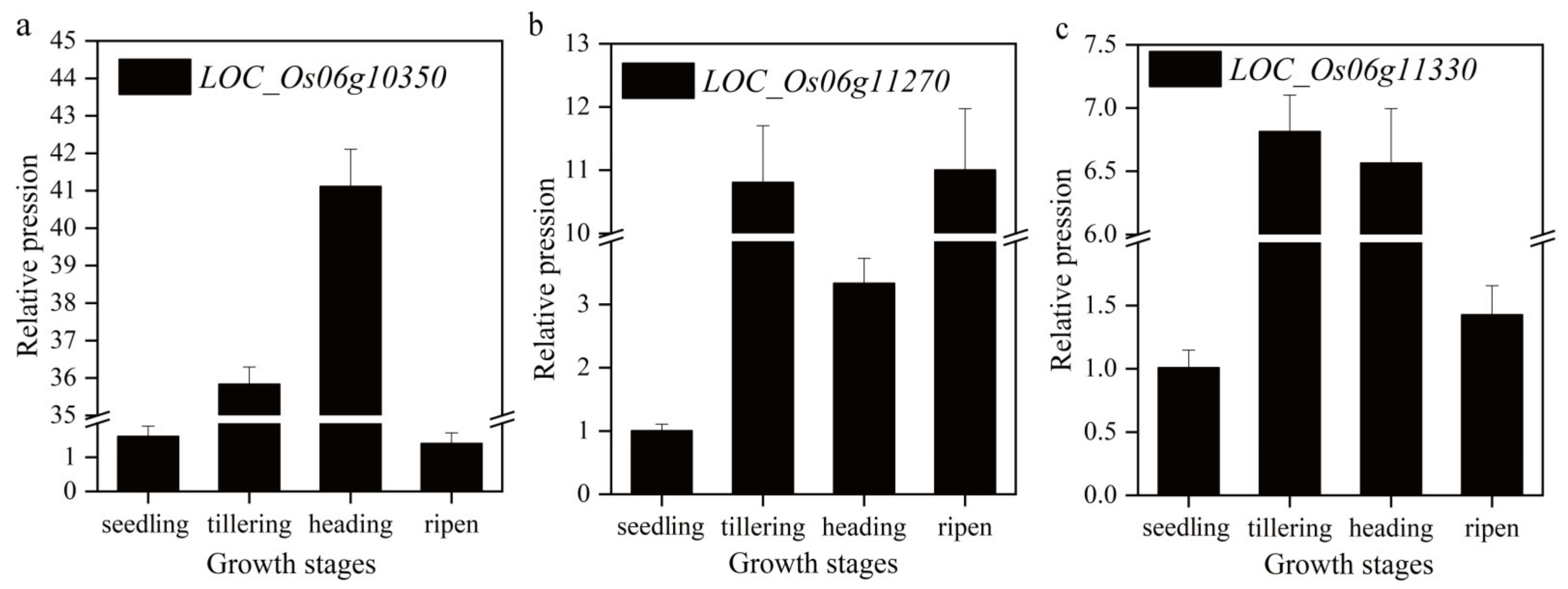 Ijms 24 06655 g003 Ijms 24 06655 g003