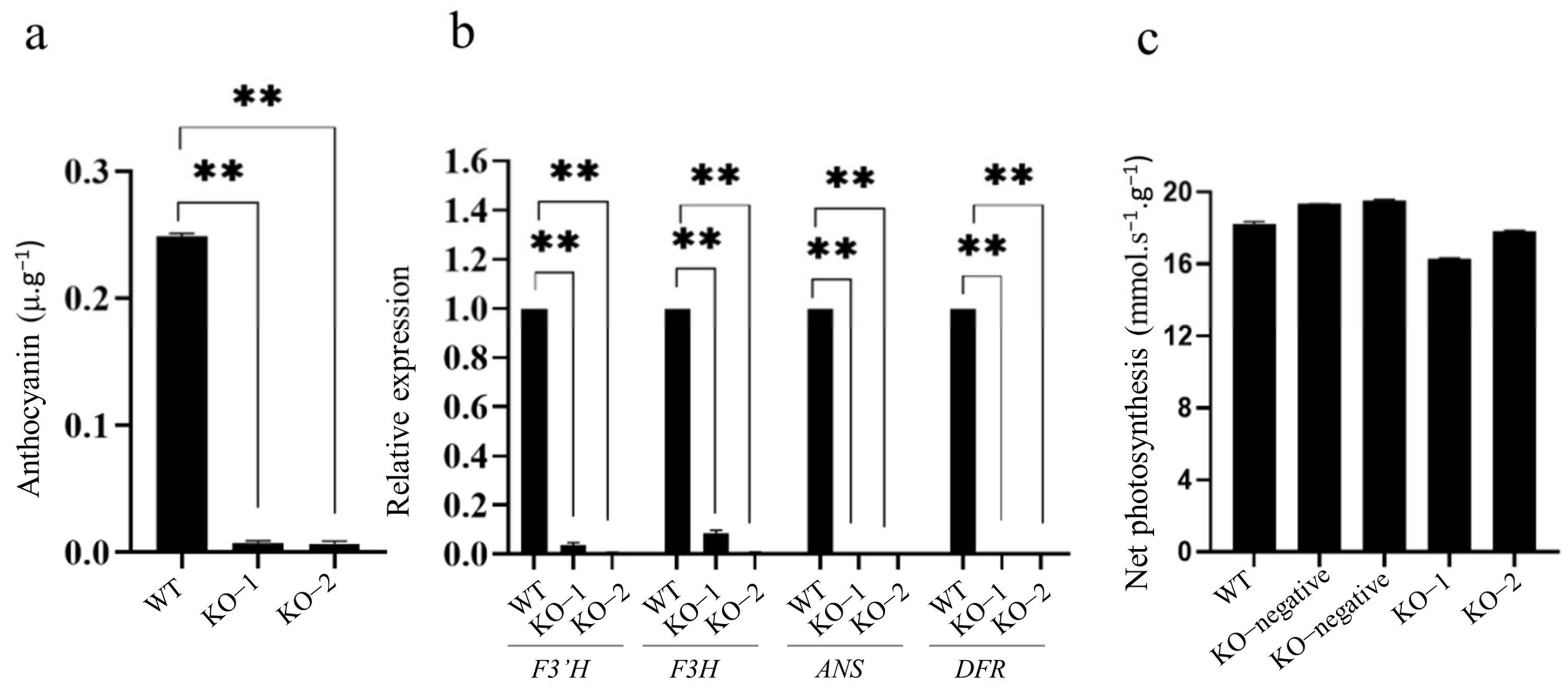 Ijms 24 06655 g005 Ijms 24 06655 g005