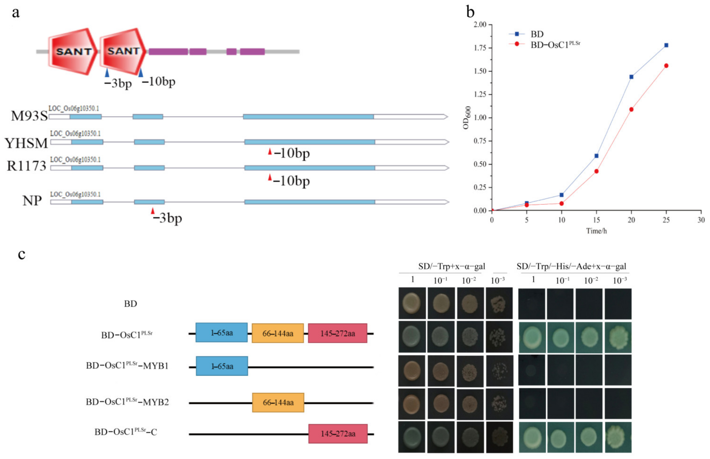Ijms 24 06655 g006 Ijms 24 06655 g006