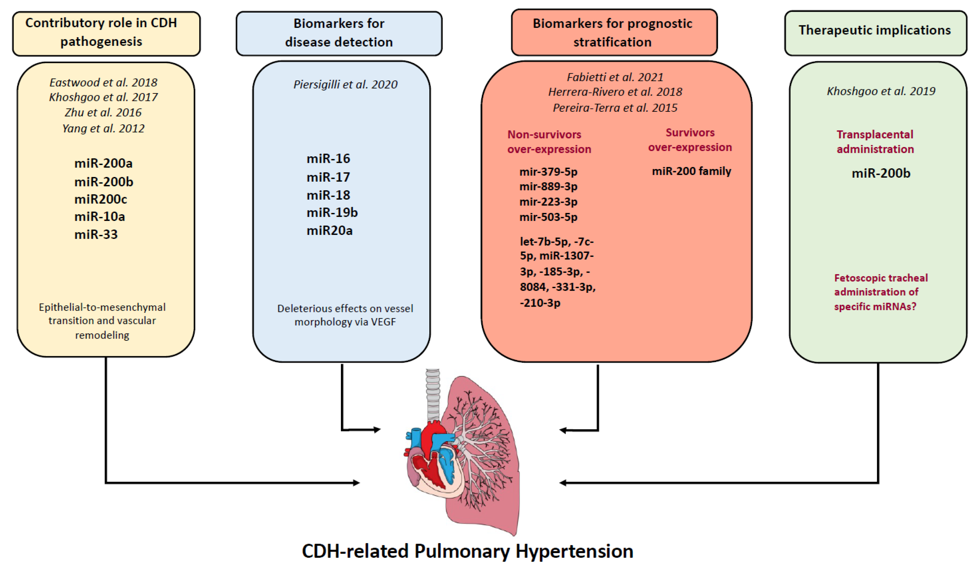 Ijms 24 06656 g001 Ijms 24 06656 g001