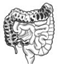 Ijms 24 06661 i014 Ijms 24 06661 i014