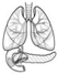 Ijms 24 06661 i020 Ijms 24 06661 i020