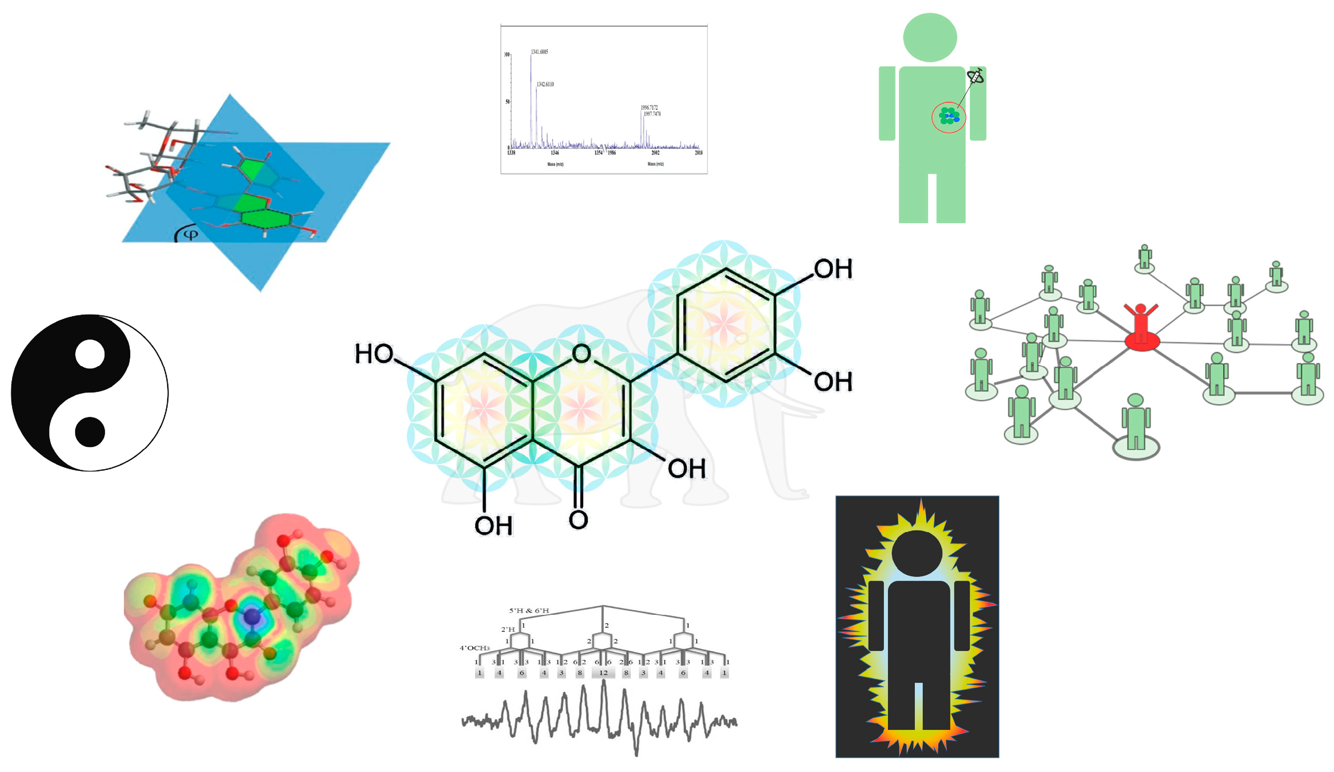 Ijms 24 06667 g002 Ijms 24 06667 g002