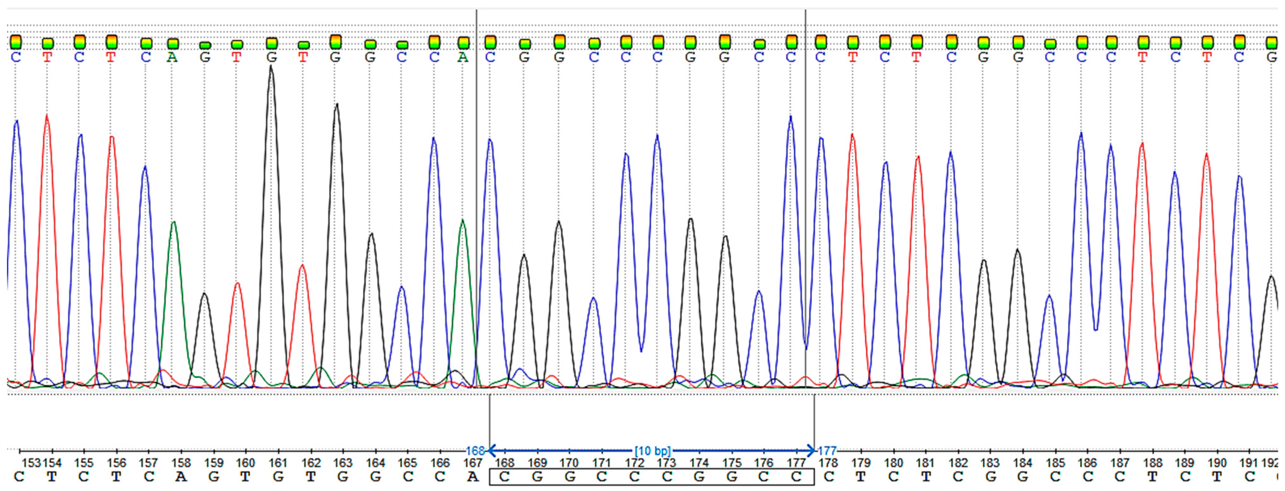 Ijms 24 06672 g002 Ijms 24 06672 g002
