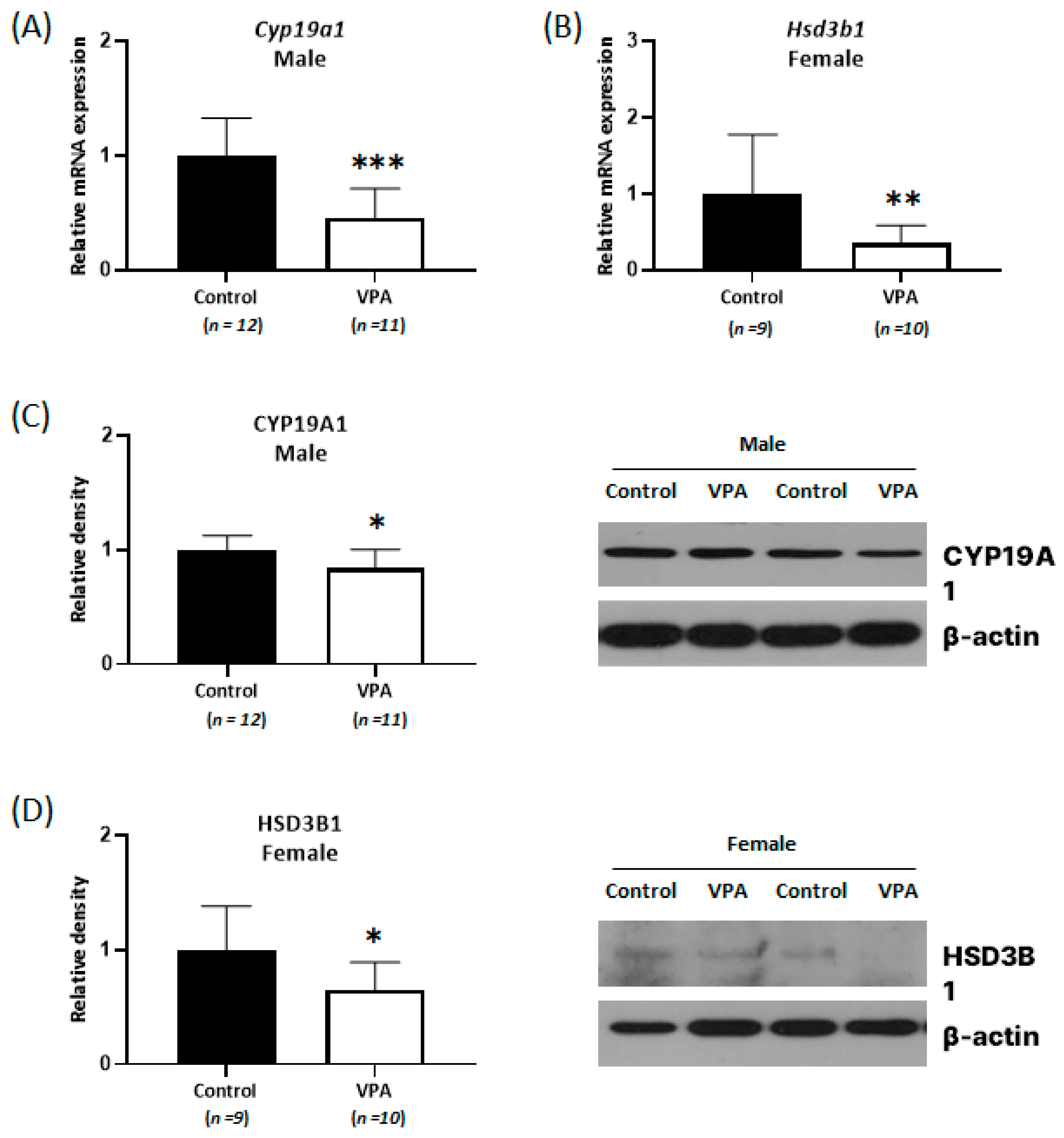 Ijms 24 06681 g002 Ijms 24 06681 g002