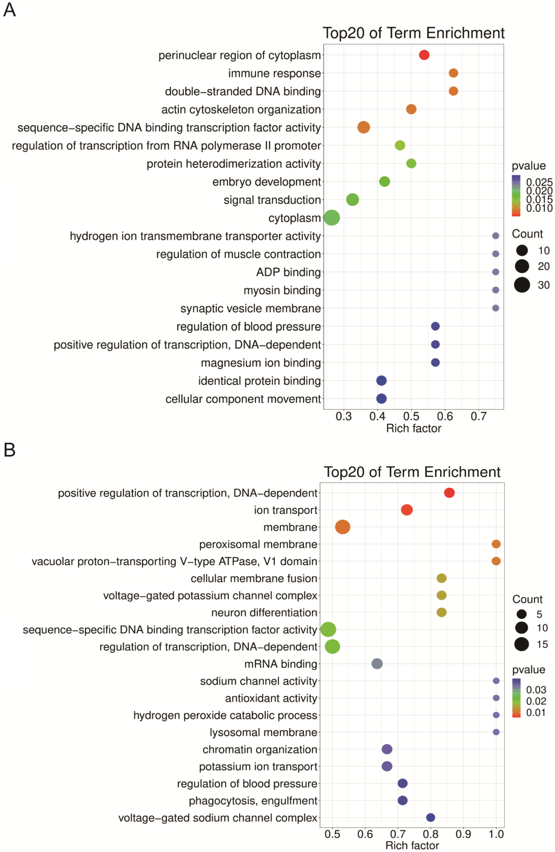 Ijms 24 06685 g007 Ijms 24 06685 g007