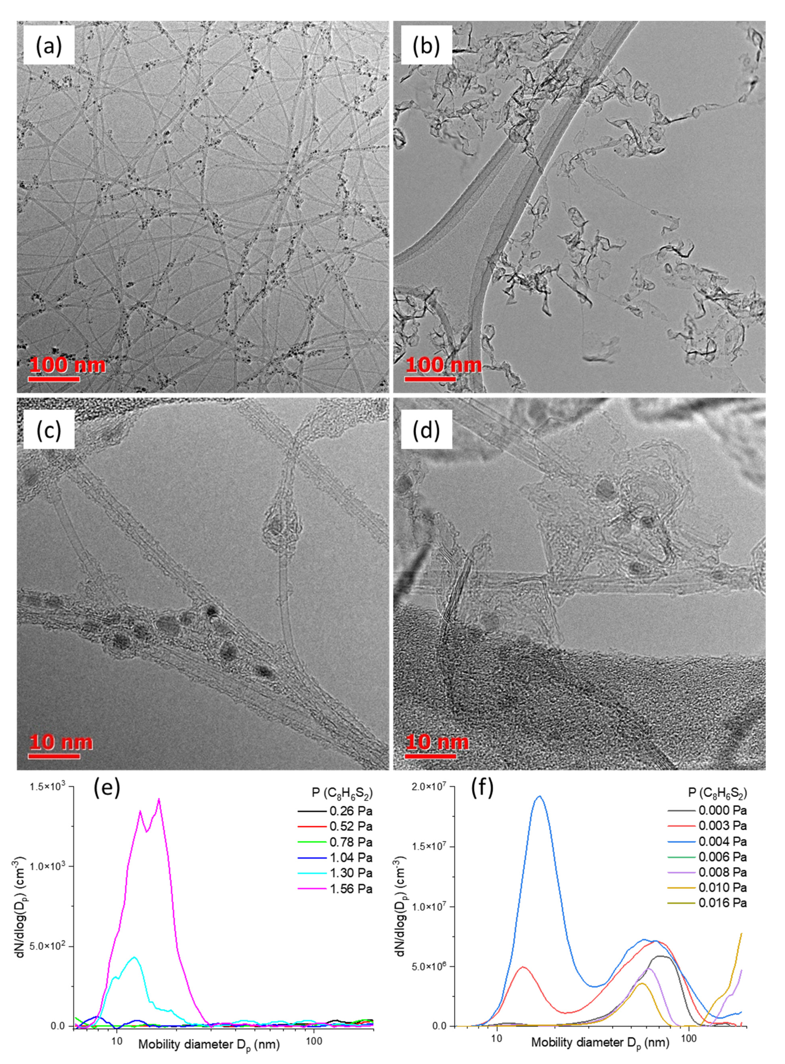 Ijms 24 06686 g003 Ijms 24 06686 g003