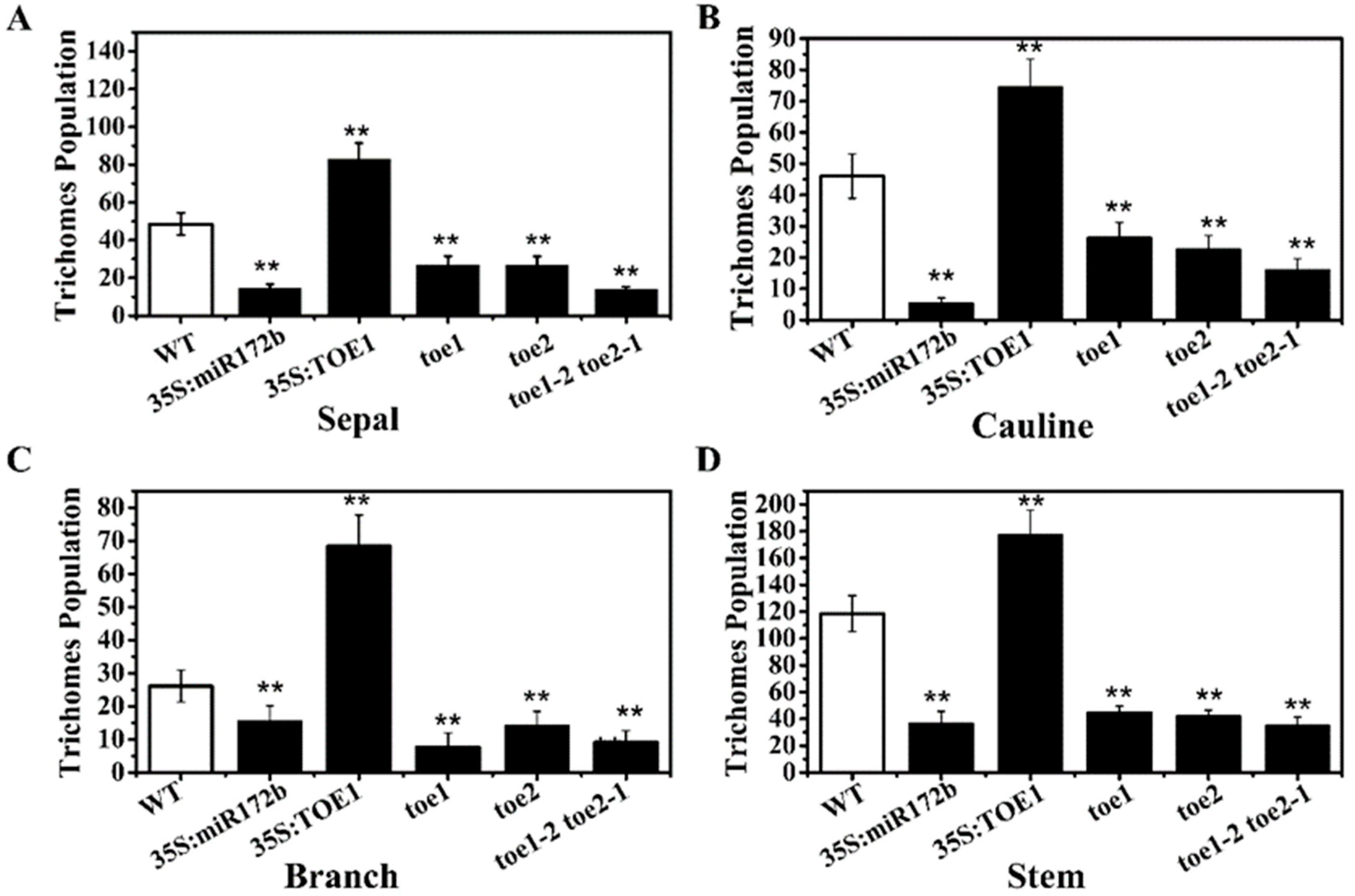 Ijms 24 06698 g002 Ijms 24 06698 g002