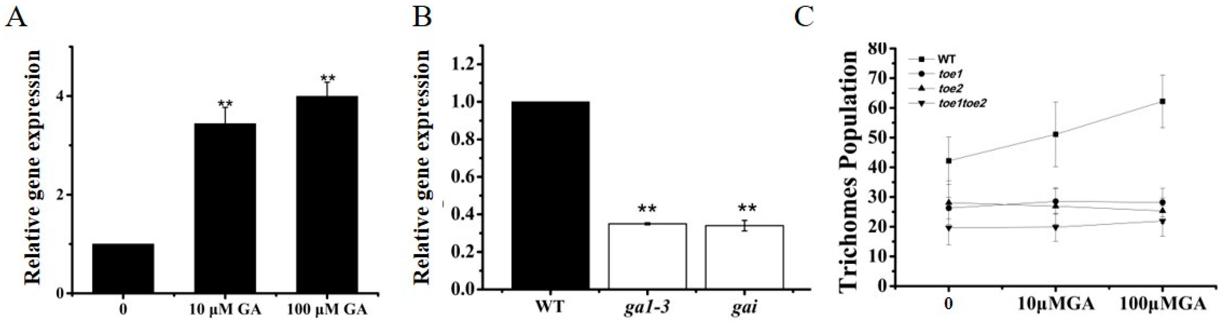 Ijms 24 06698 g006 Ijms 24 06698 g006