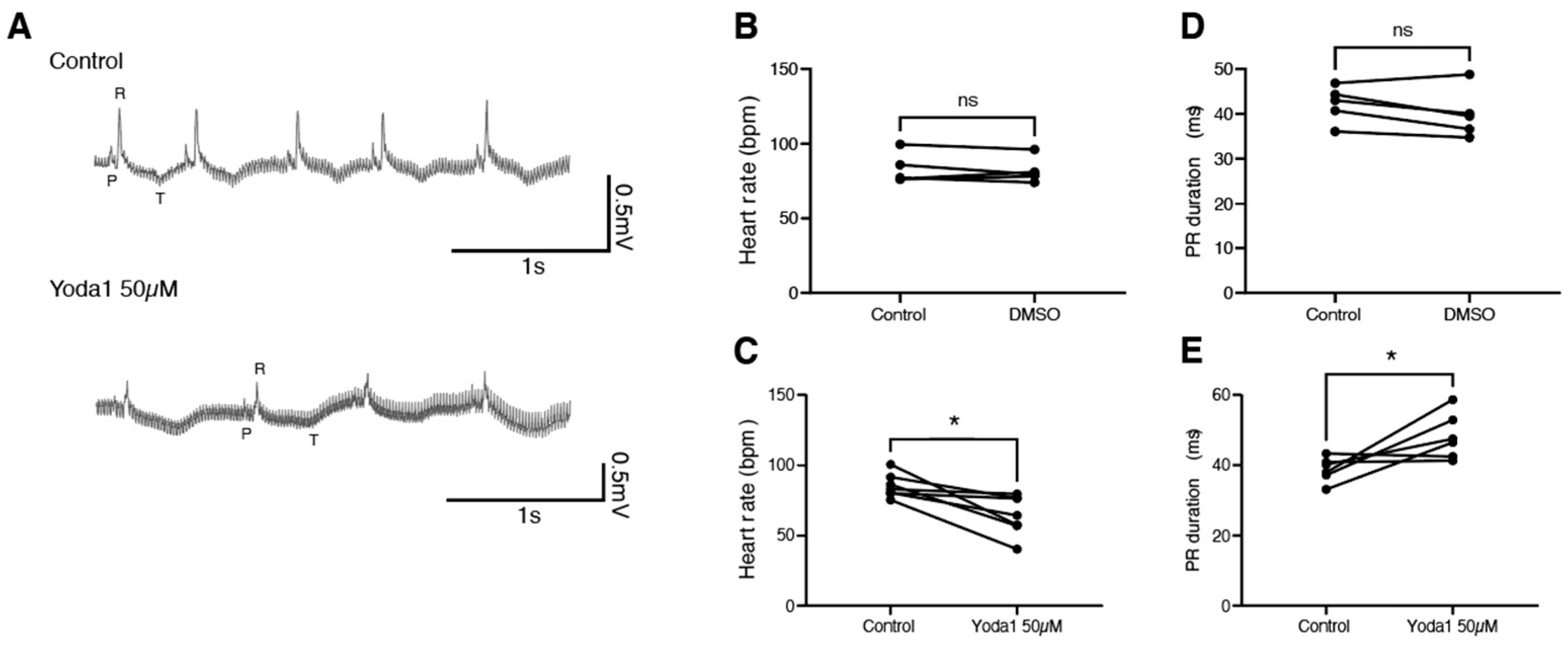 Ijms 24 06720 g004 Ijms 24 06720 g004