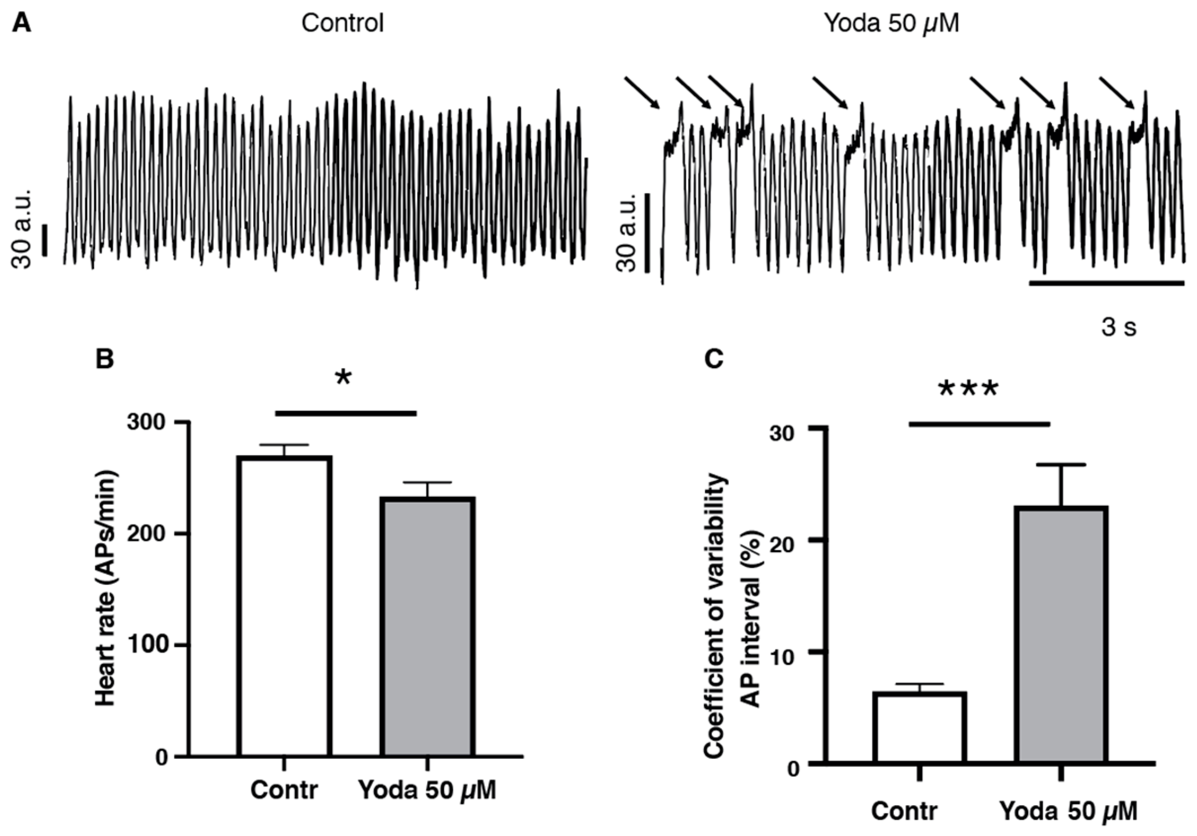 IJMS | Free Full-Text | Prolonged Piezo1 Activation Induces