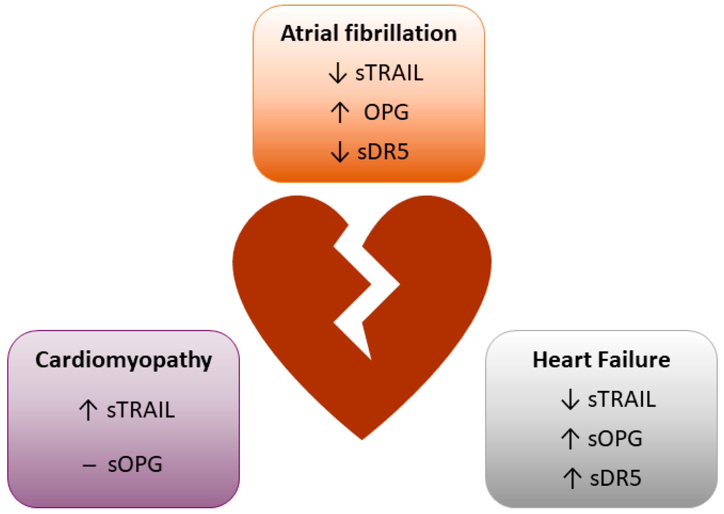 IJMS | Free Full-Text | The Prognostic, Diagnostic, and Therapeutic  Potential of TRAIL Signalling in Cardiovascular Diseases