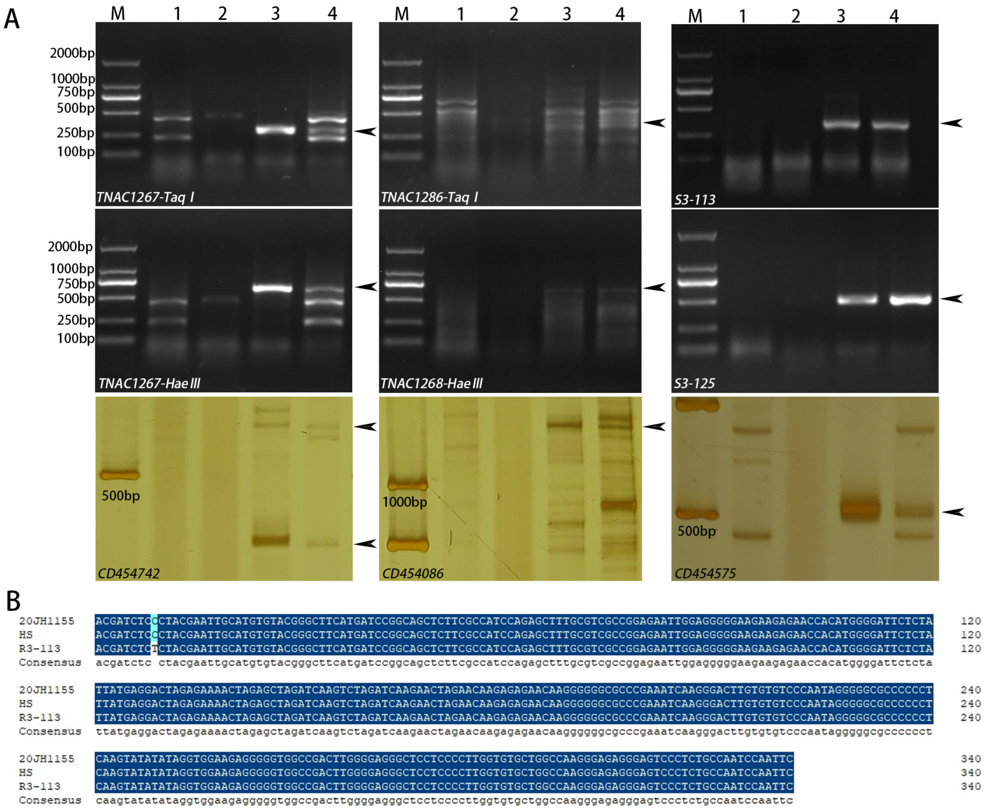 Ijms 24 06726 g003 Ijms 24 06726 g003