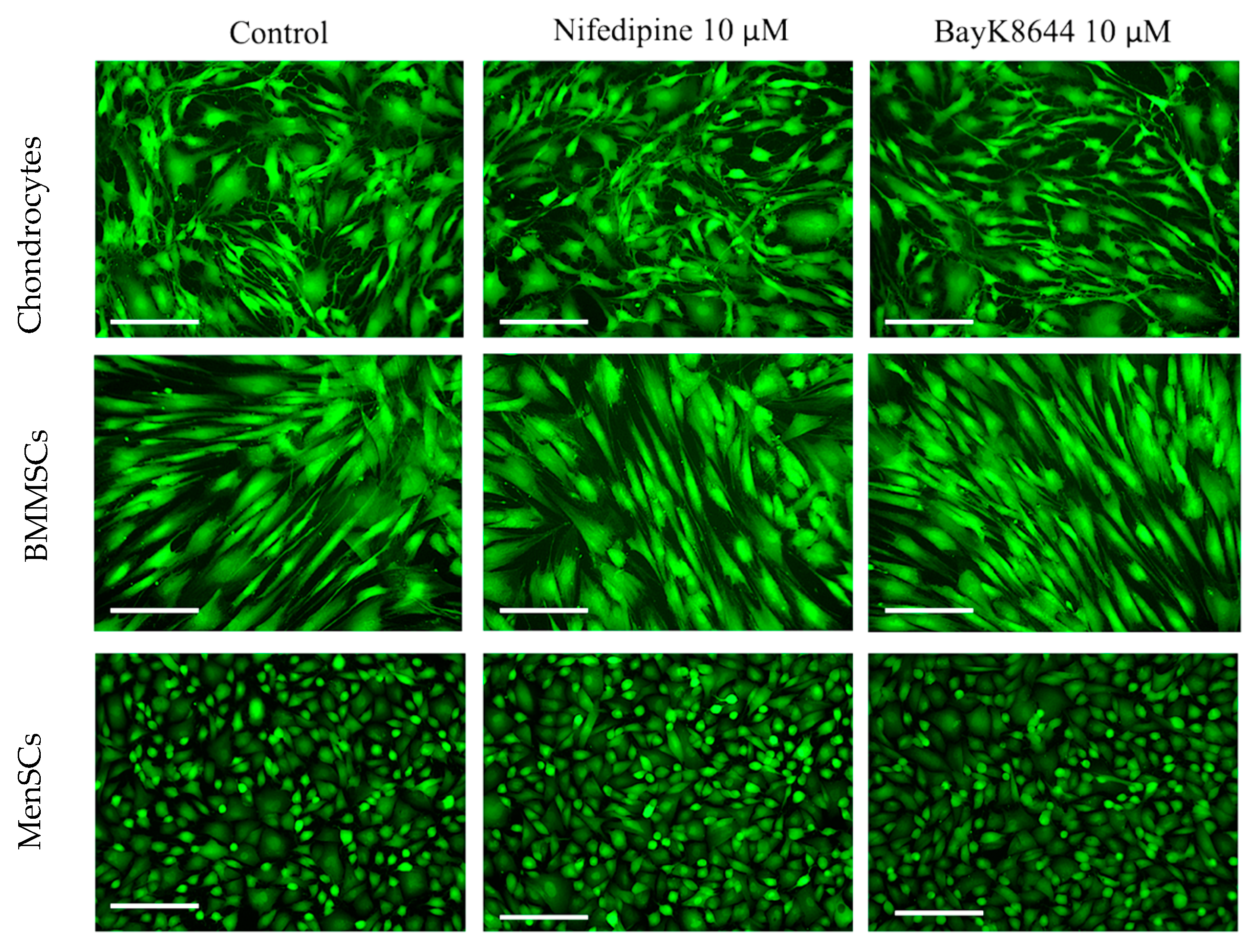 Ijms 24 06730 g002 Ijms 24 06730 g002