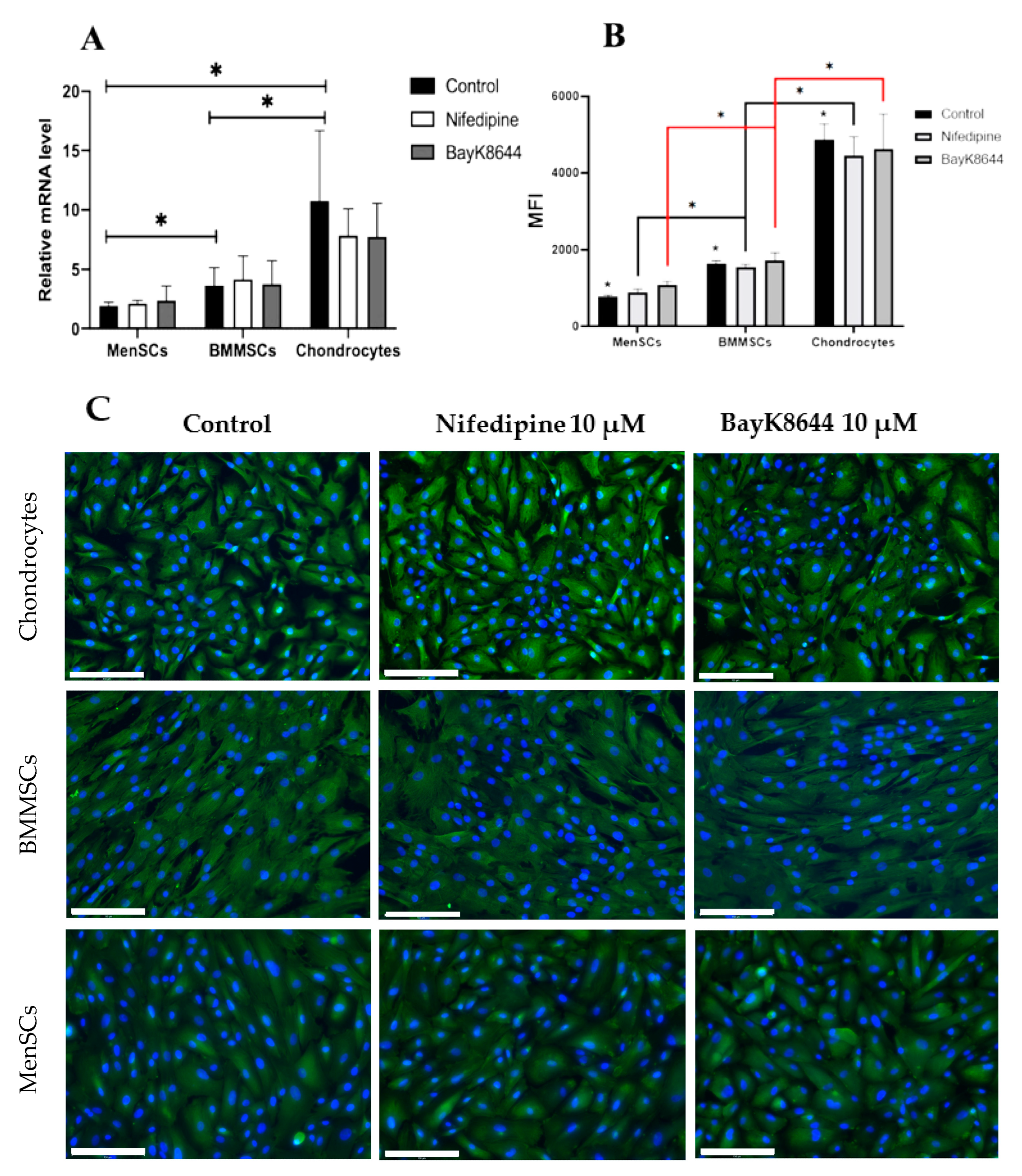 Ijms 24 06730 g006 Ijms 24 06730 g006