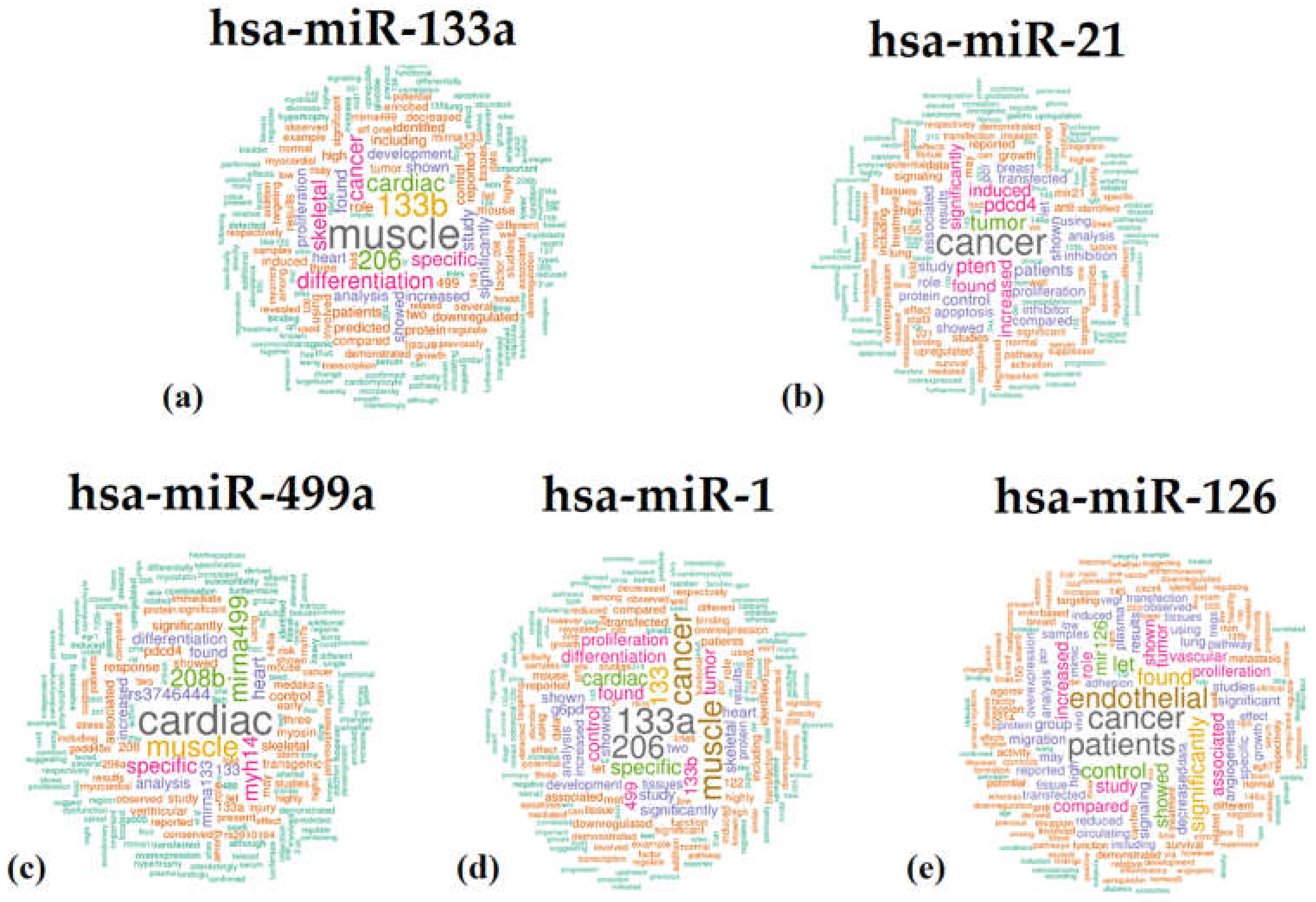 IJMS | Free Full-Text | New Insight Into Mechanisms Of Cardiovascular ...