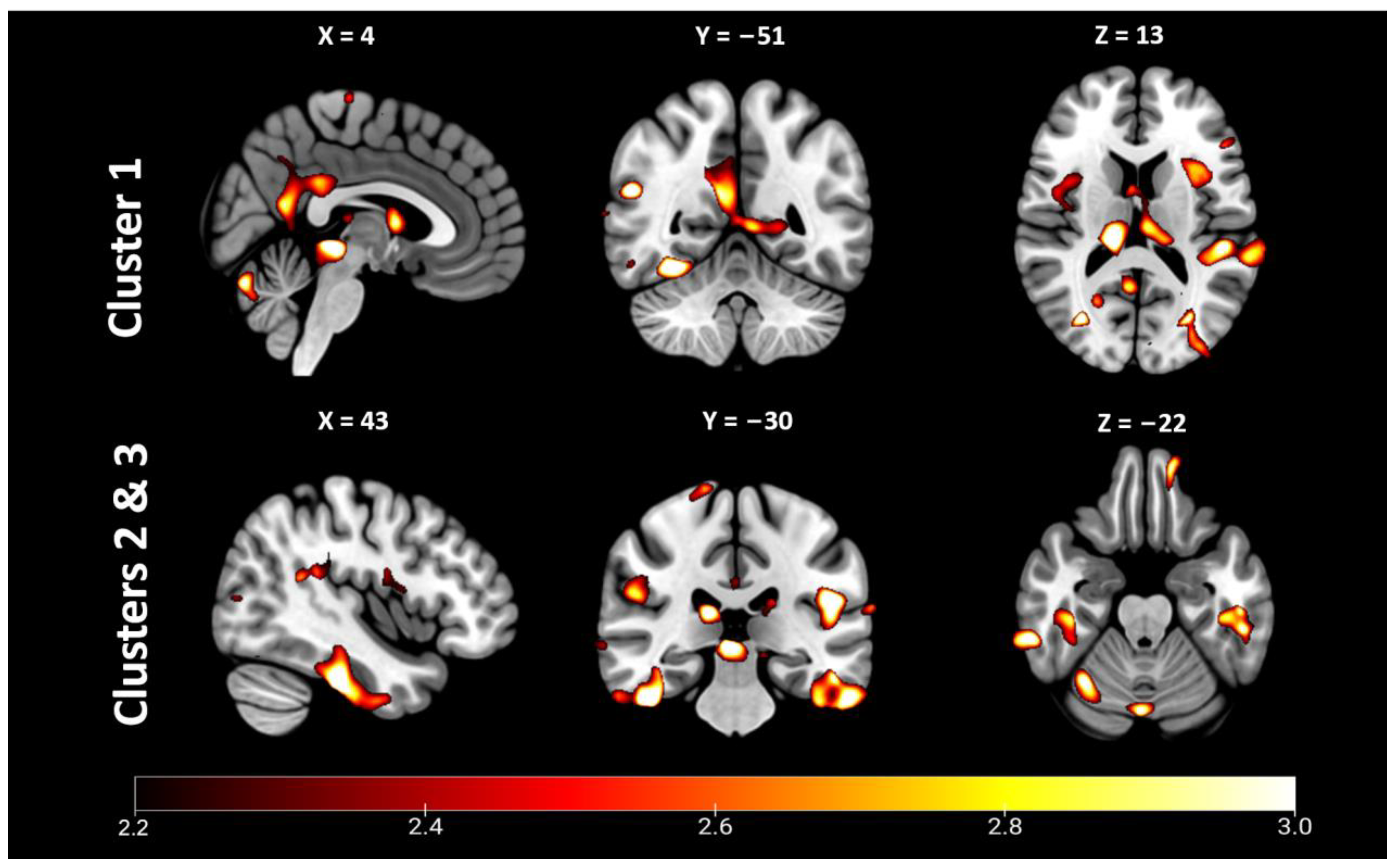 Ijms 24 06797 g002 Ijms 24 06797 g002