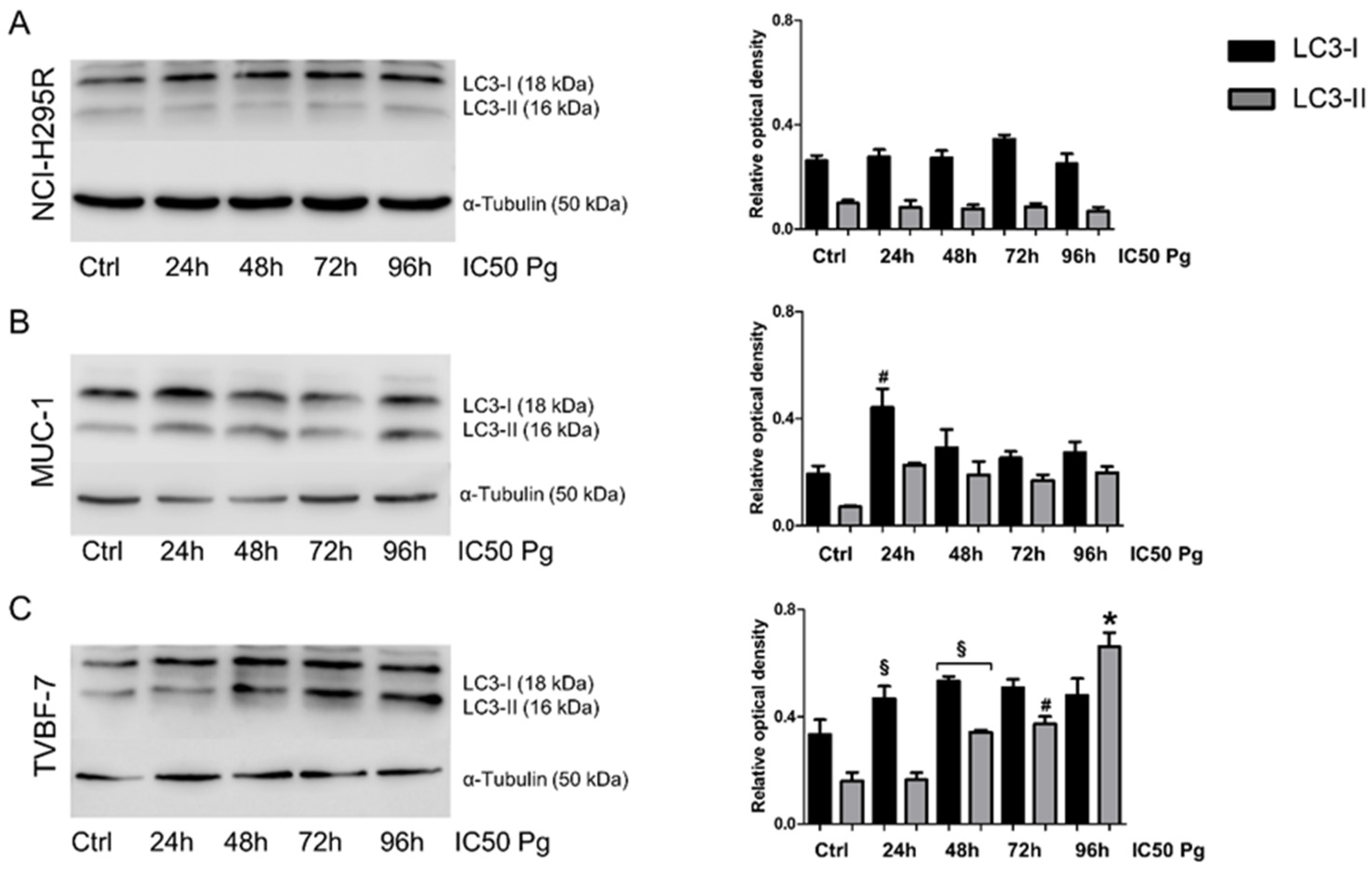 Ijms 24 06829 g007 Ijms 24 06829 g007