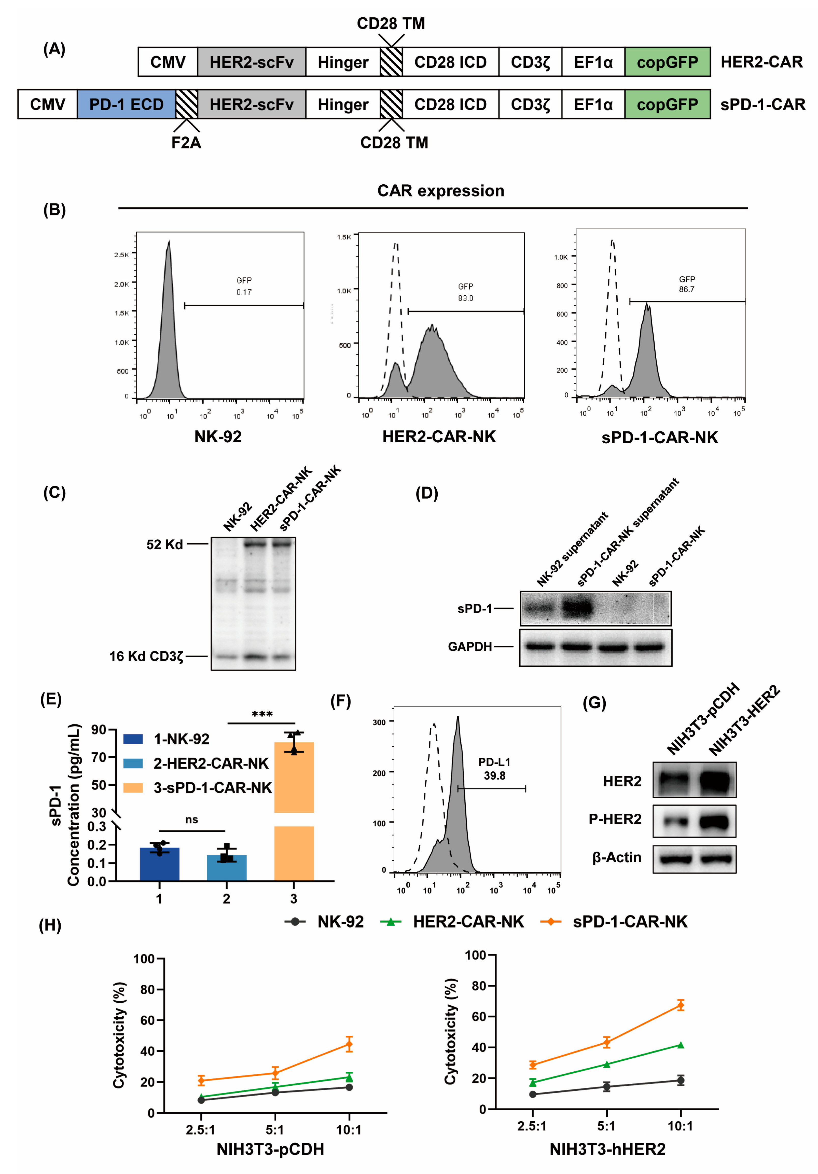 Ijms 24 06843 g001 Ijms 24 06843 g001