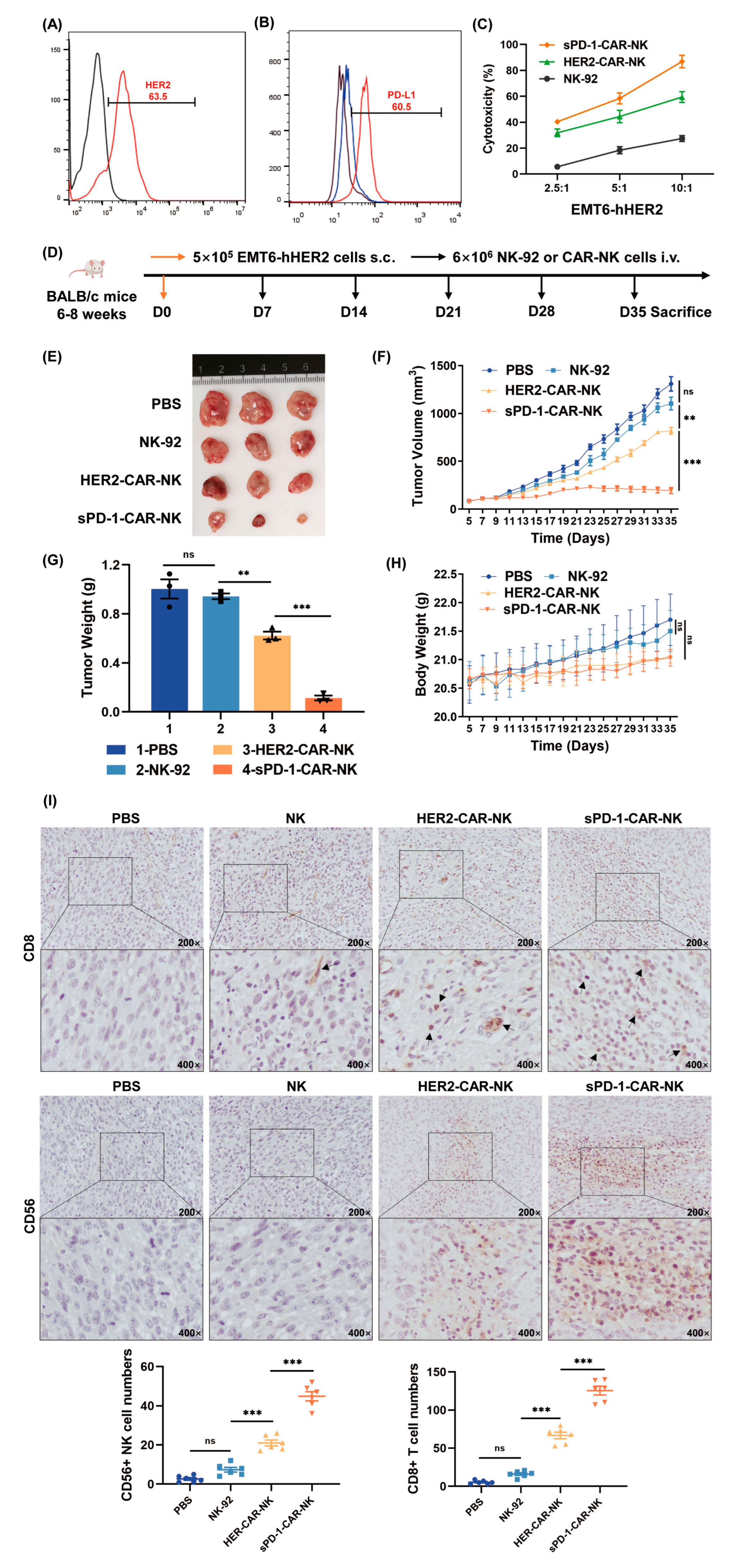 Ijms 24 06843 g003 Ijms 24 06843 g003