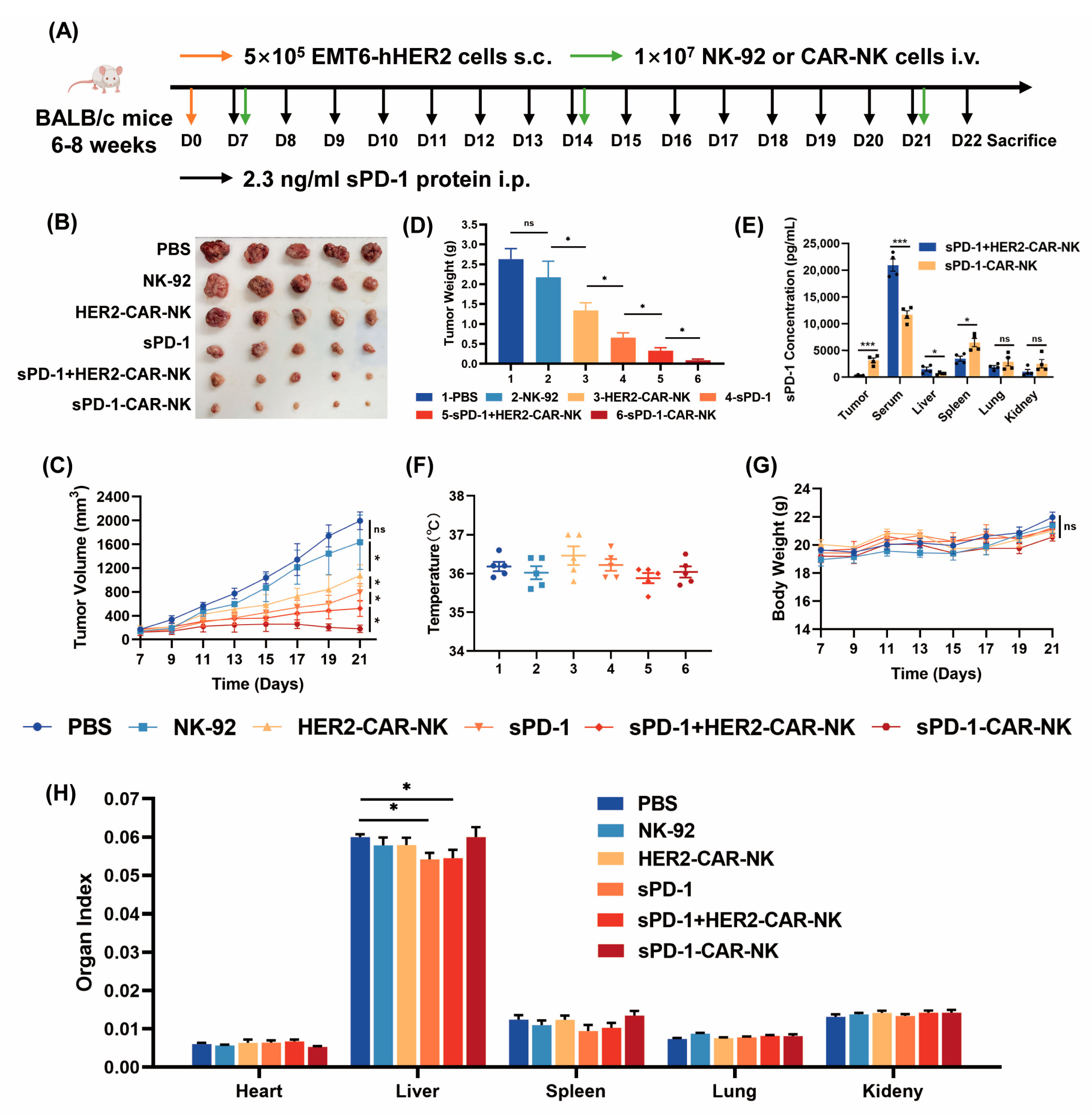 Ijms 24 06843 g004 Ijms 24 06843 g004