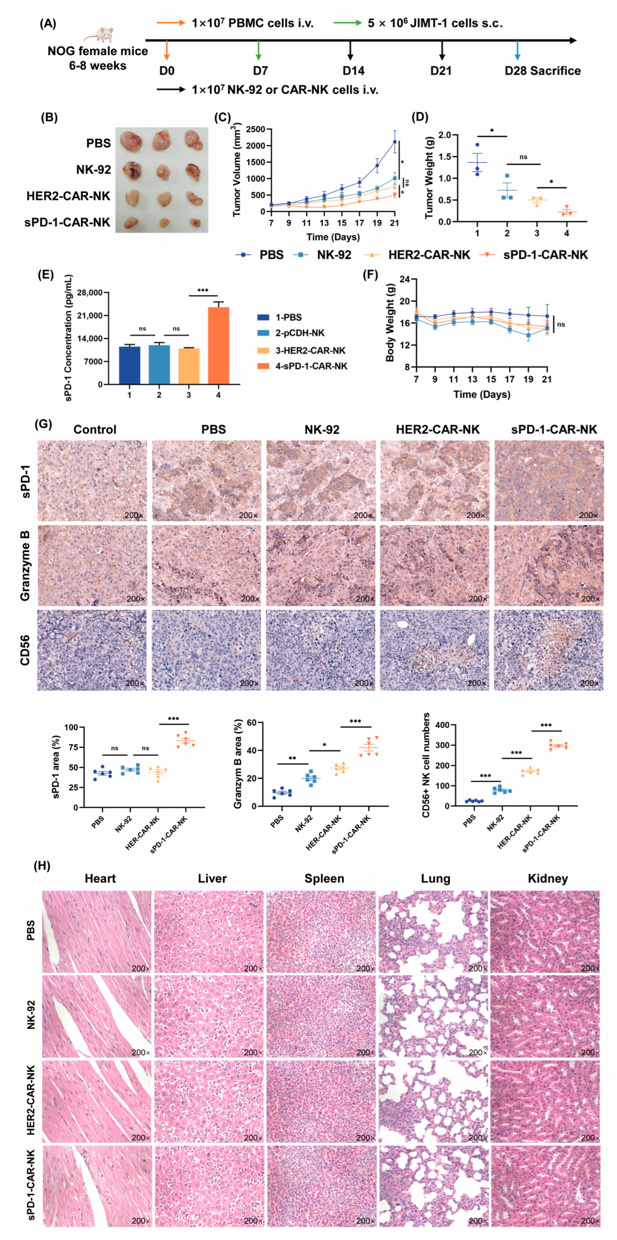 Ijms 24 06843 g005 Ijms 24 06843 g005