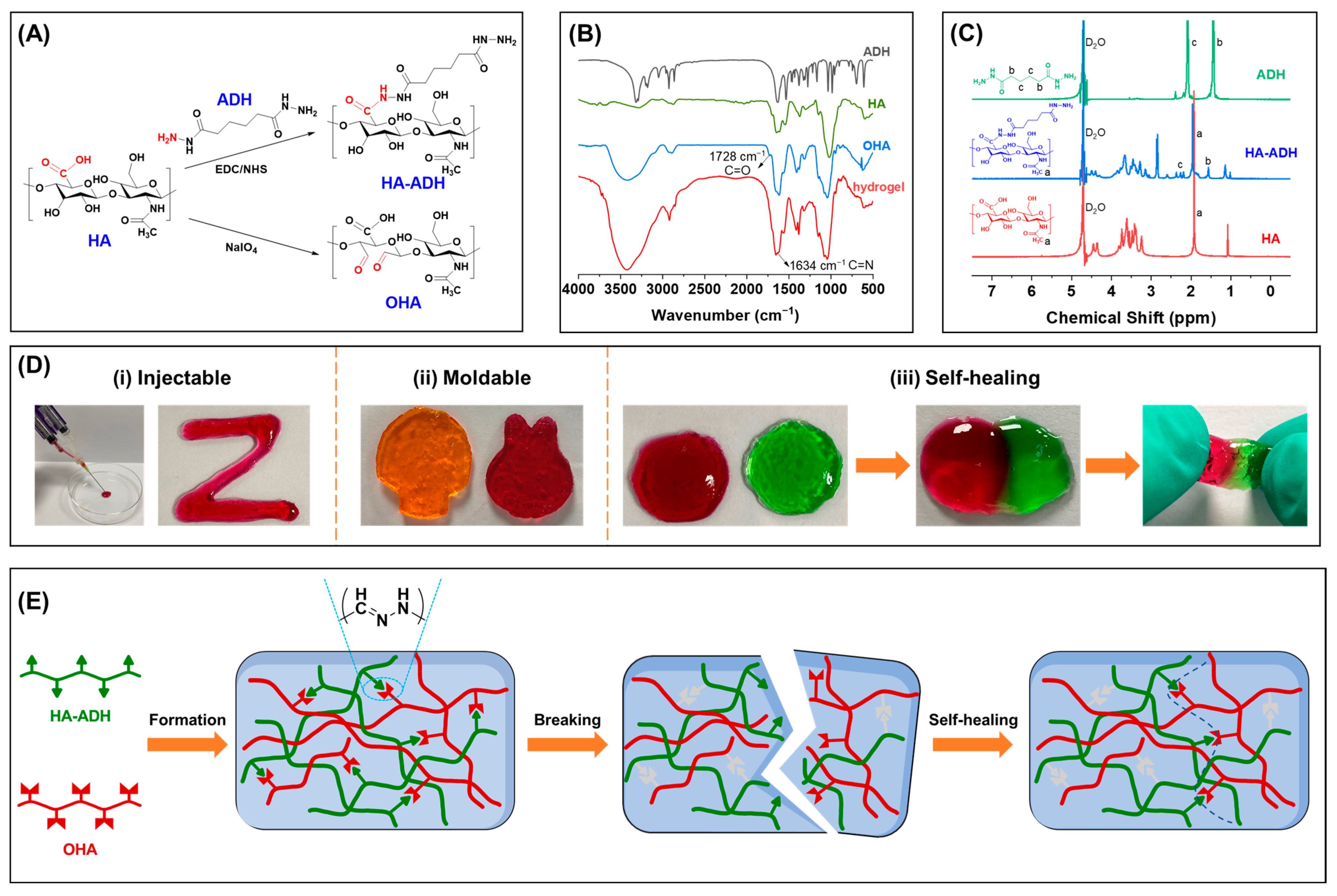 Ijms 24 06844 g001 Ijms 24 06844 g001