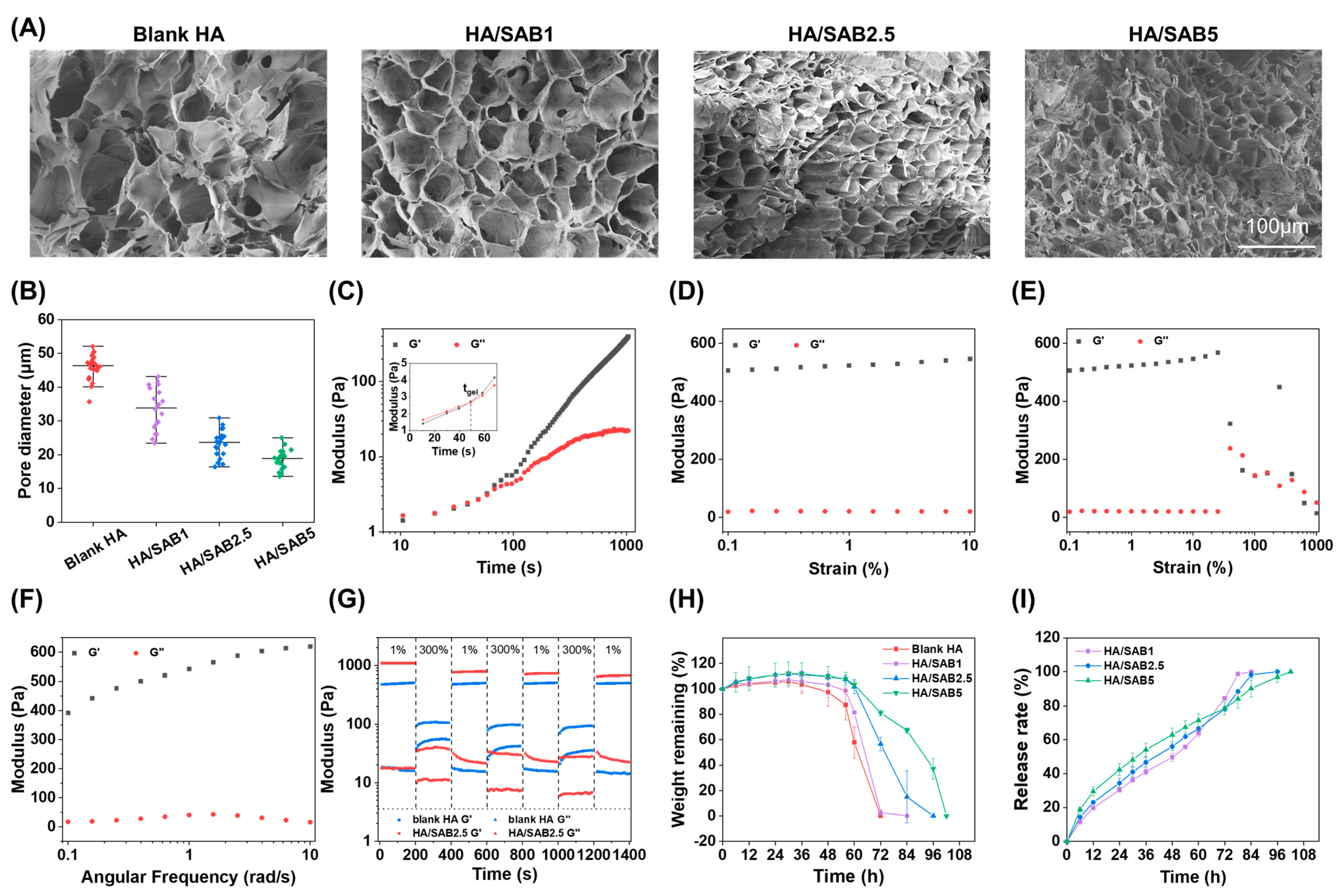 Ijms 24 06844 g002 Ijms 24 06844 g002