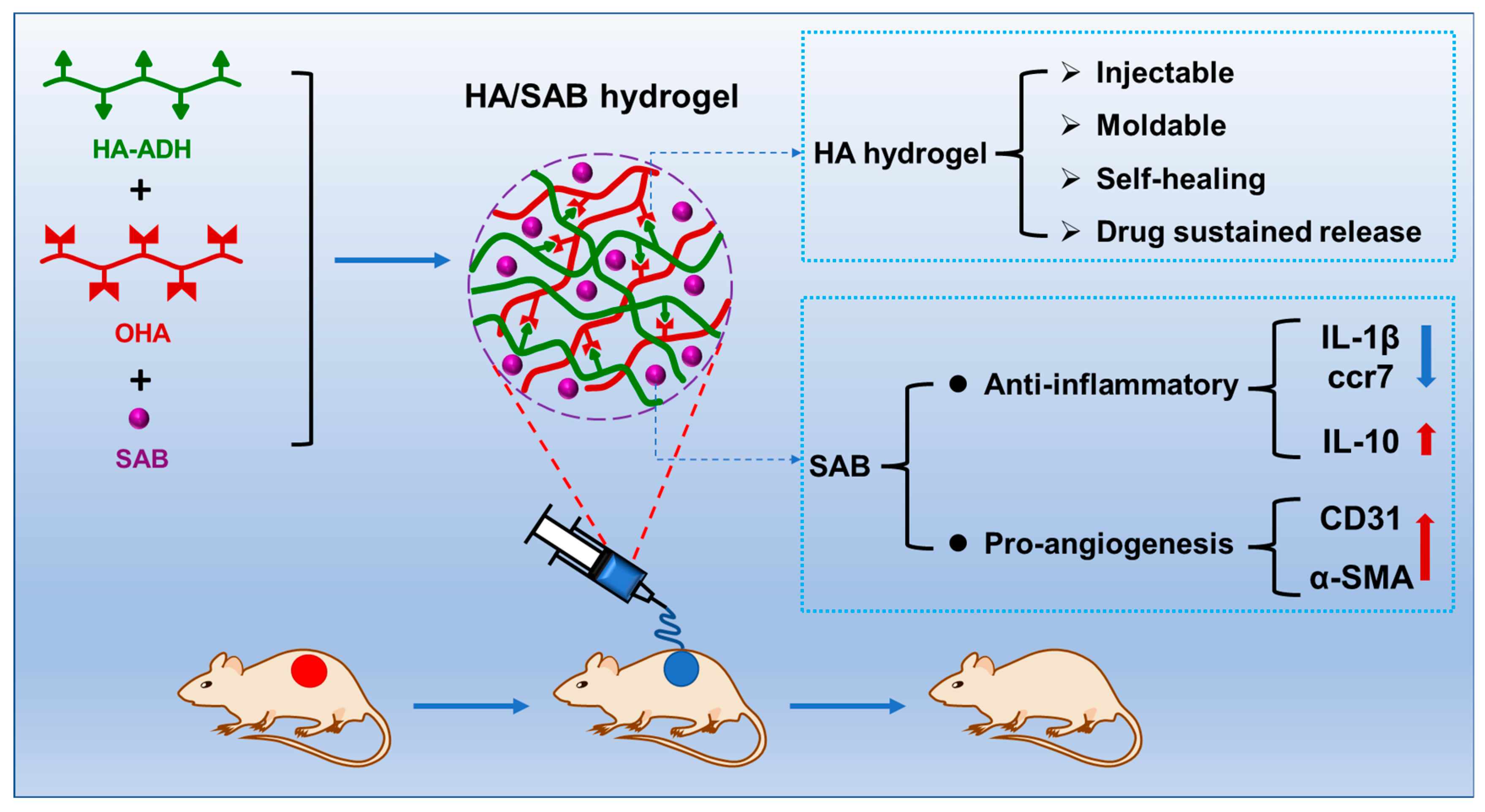 Ijms 24 06844 g008 Ijms 24 06844 g008