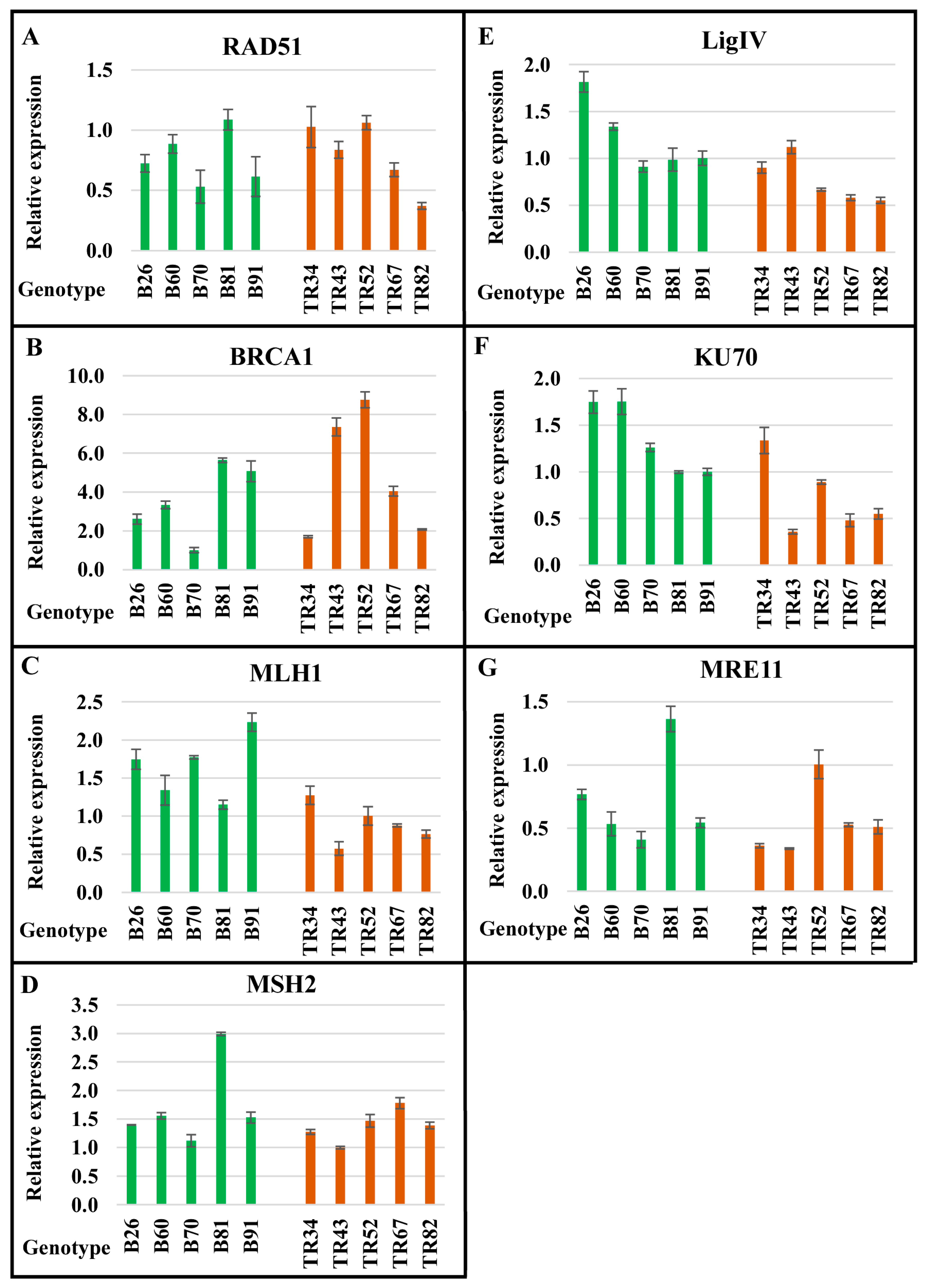 Ijms 24 06847 g001 Ijms 24 06847 g001