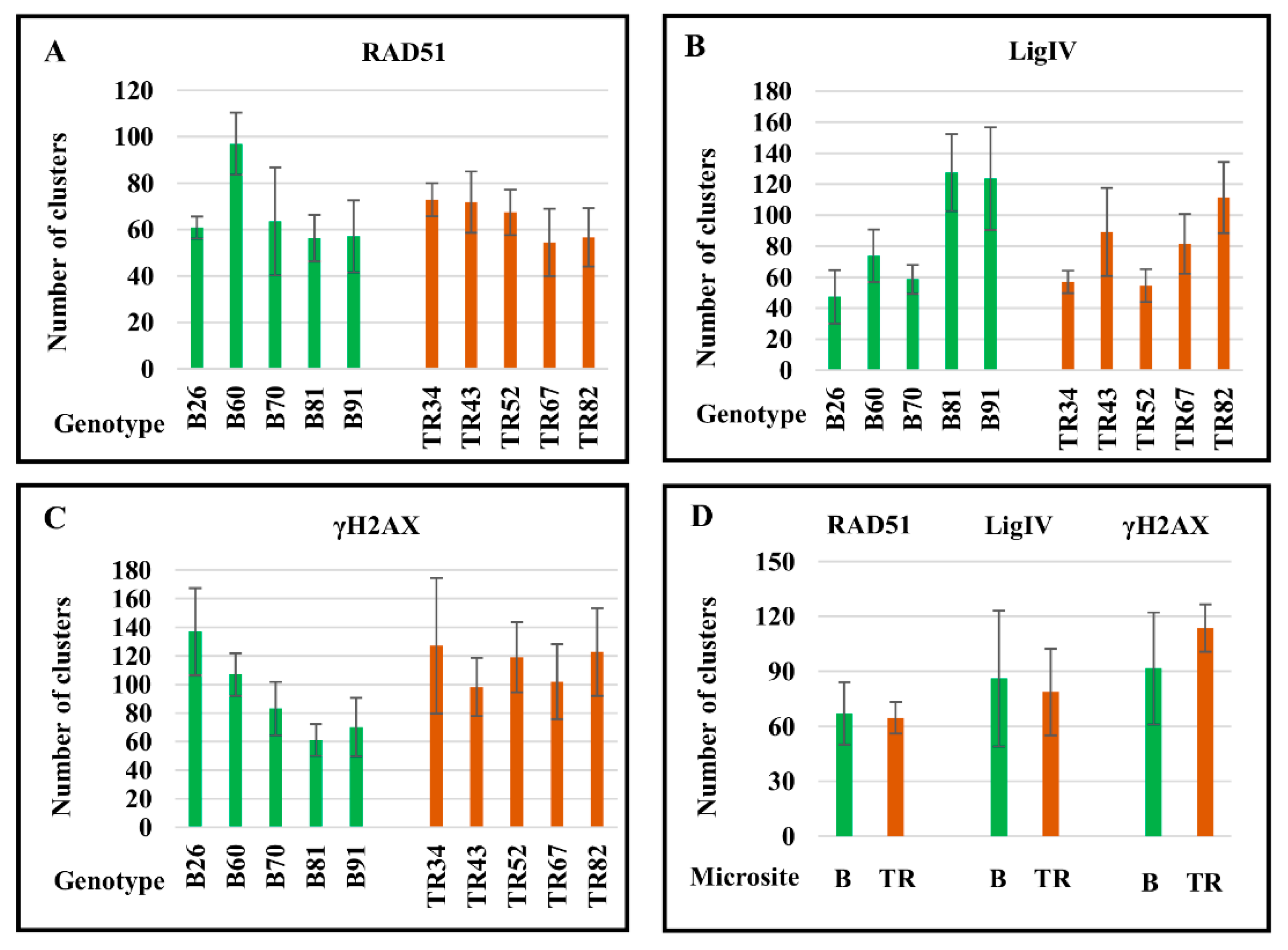 Ijms 24 06847 g004 Ijms 24 06847 g004