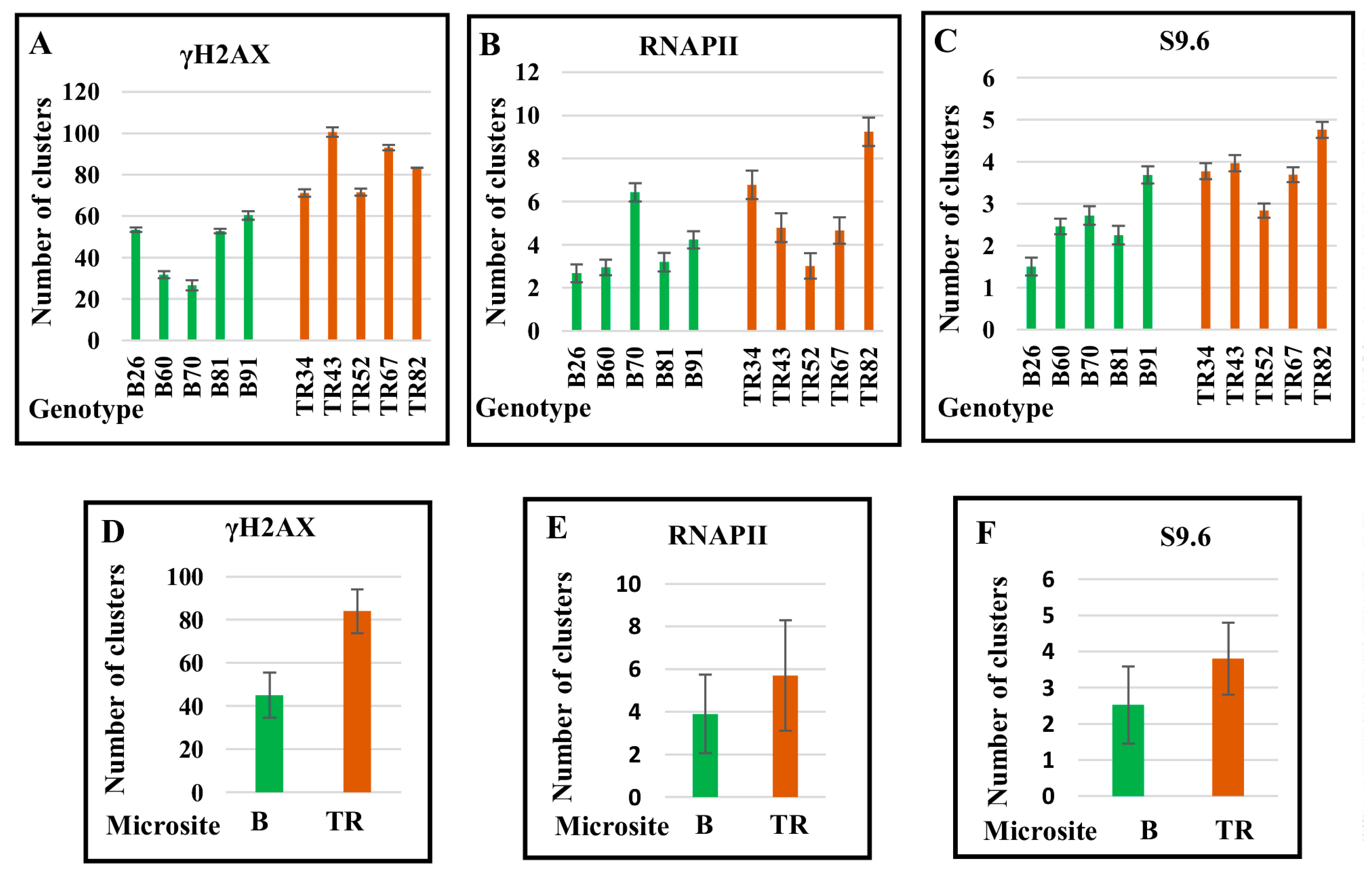 Ijms 24 06847 g008 Ijms 24 06847 g008