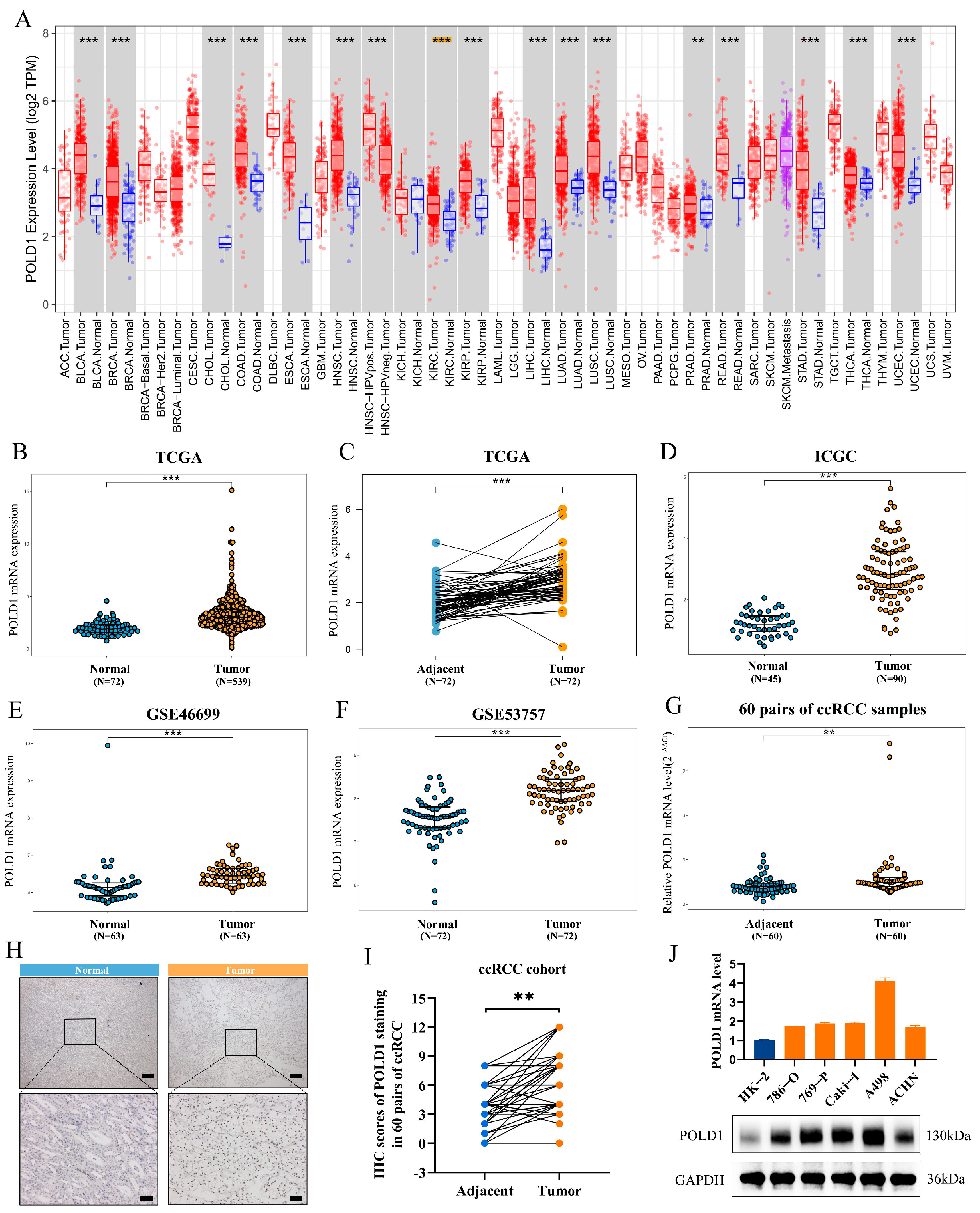Ijms 24 06849 g001 Ijms 24 06849 g001