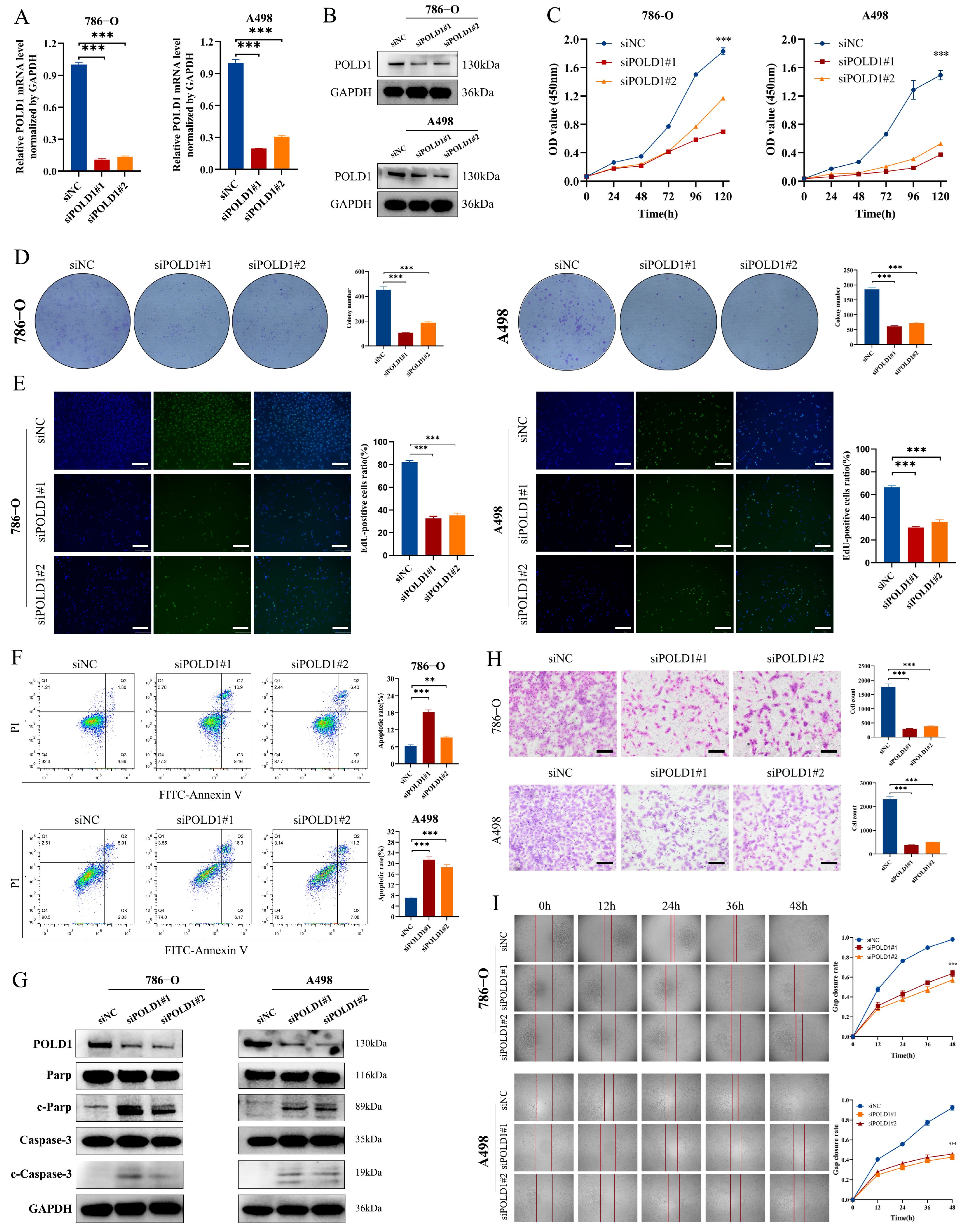 Ijms 24 06849 g008 Ijms 24 06849 g008