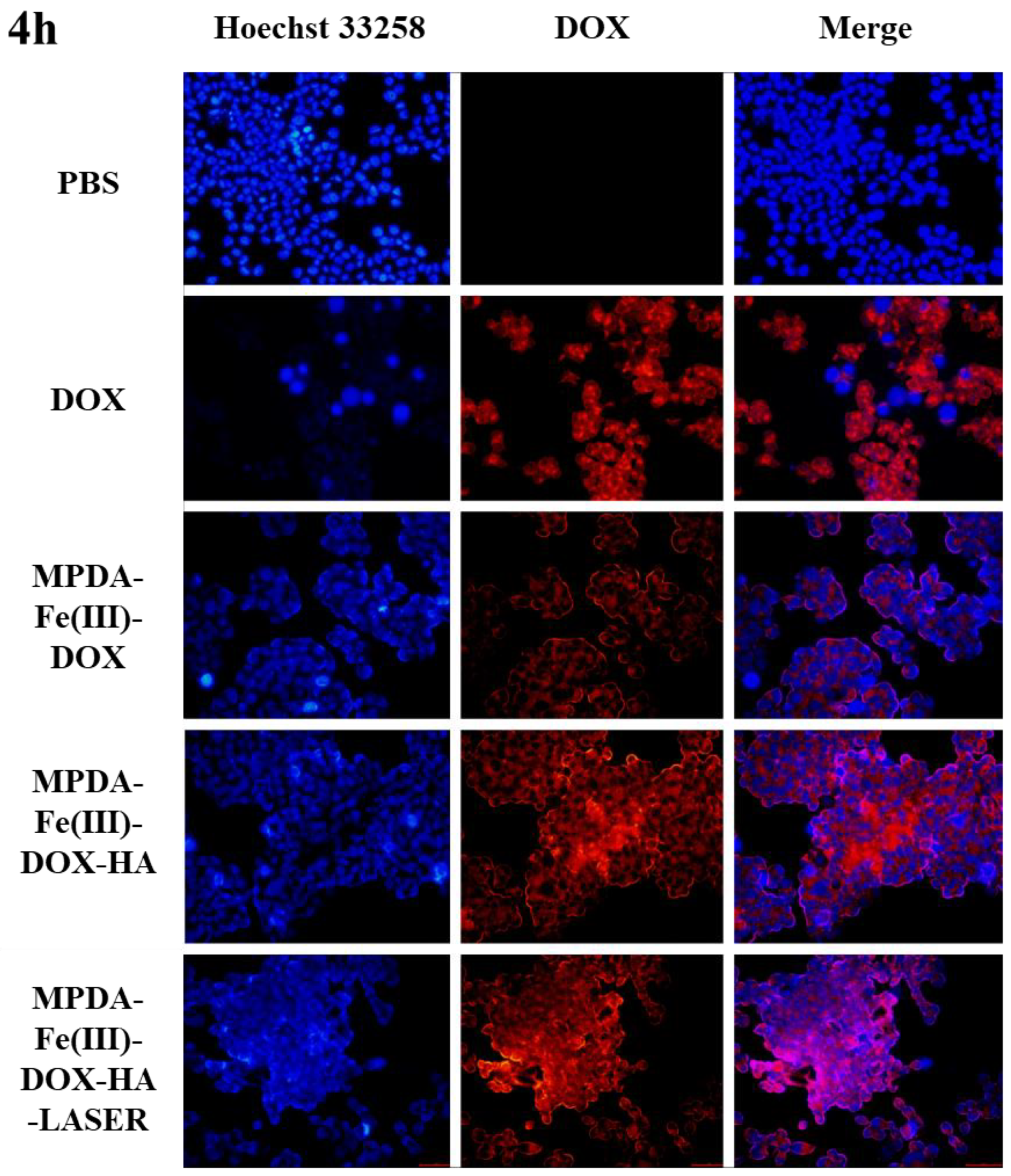 Ijms 24 06854 g010a Ijms 24 06854 g010a