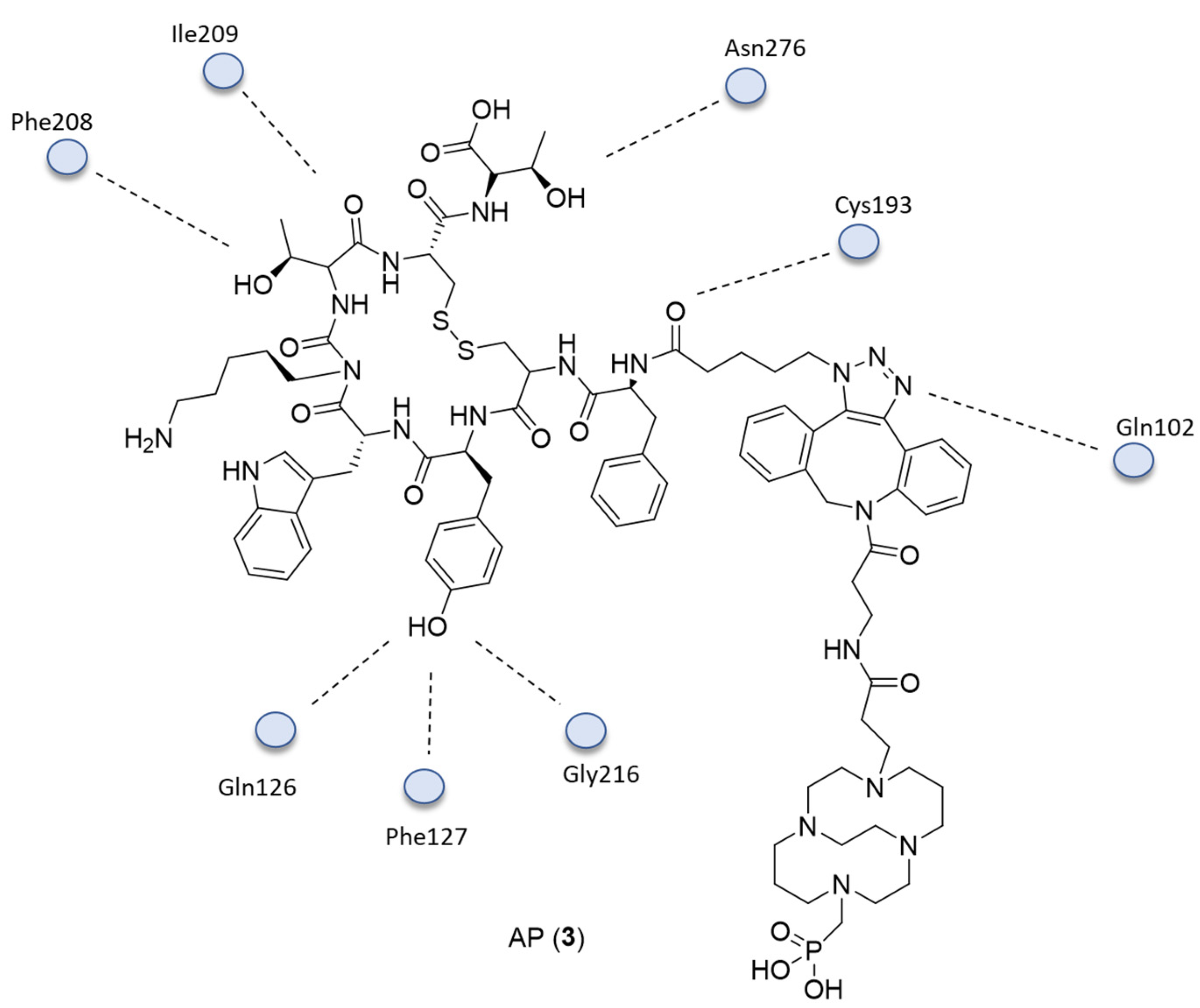 Ijms 24 06856 g003 Ijms 24 06856 g003