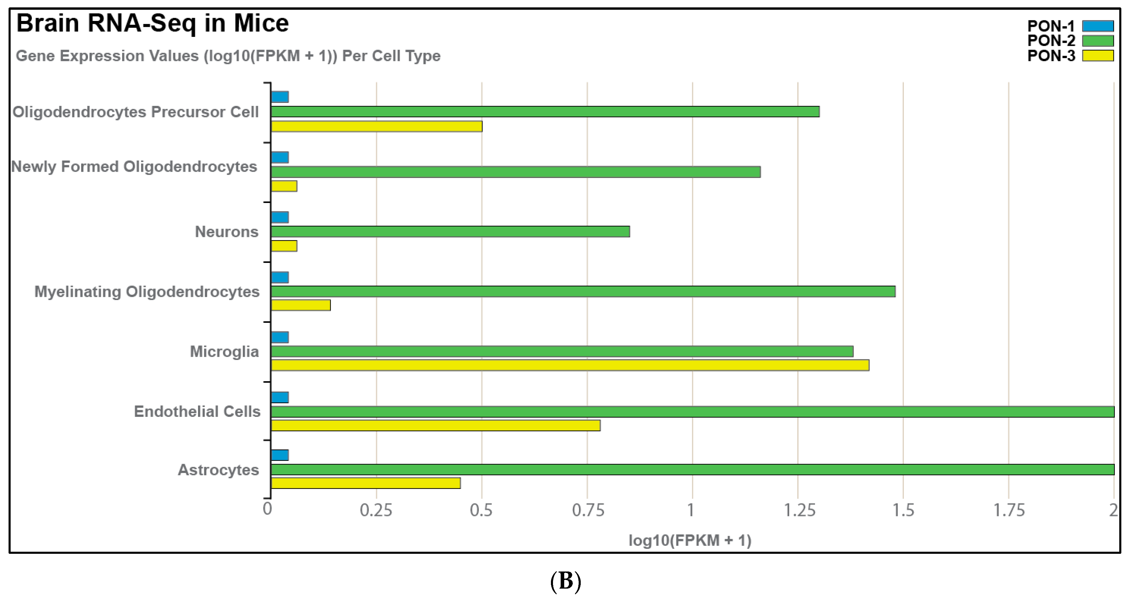Ijms 24 06881 g001b Ijms 24 06881 g001b