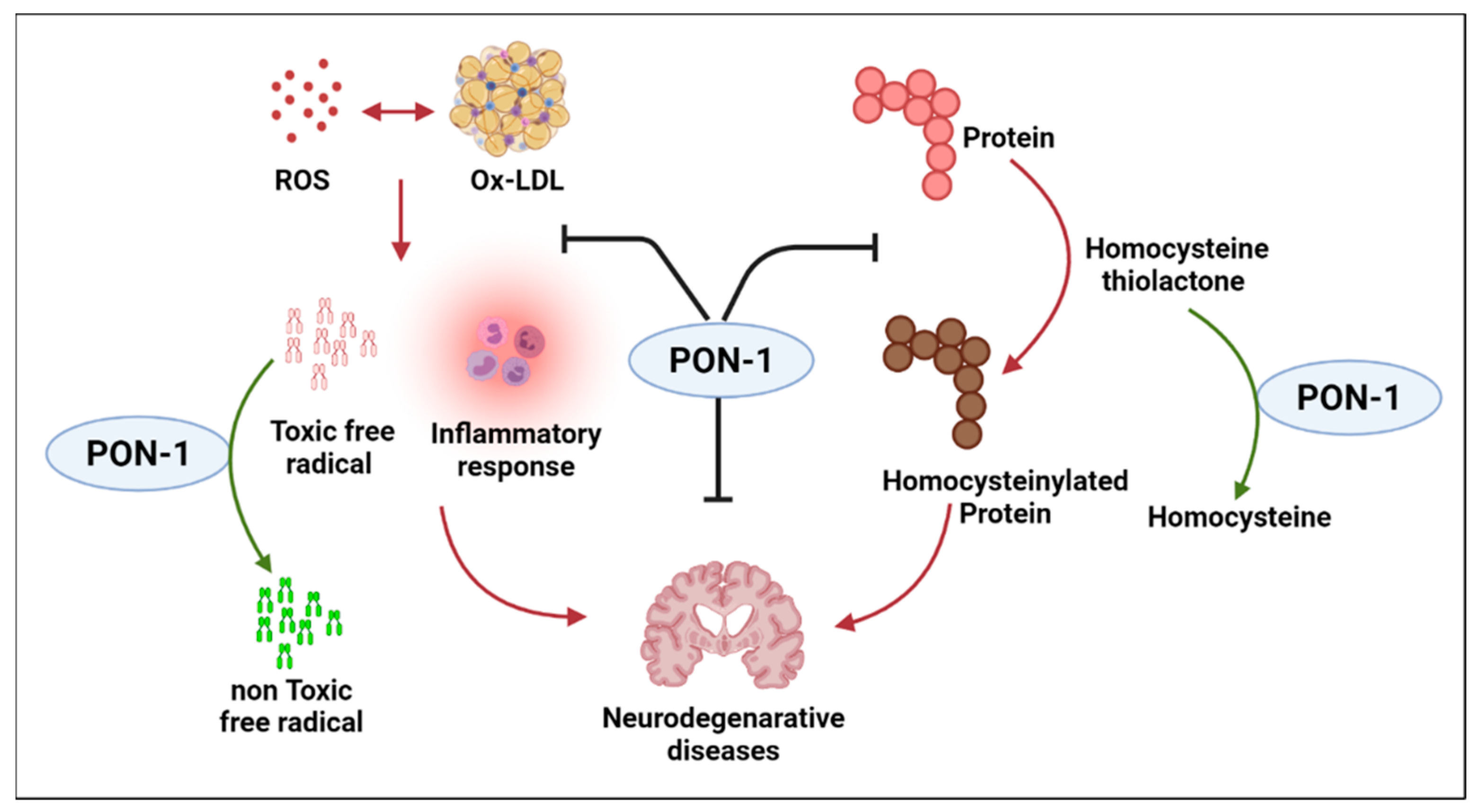 Ijms 24 06881 g003 Ijms 24 06881 g003