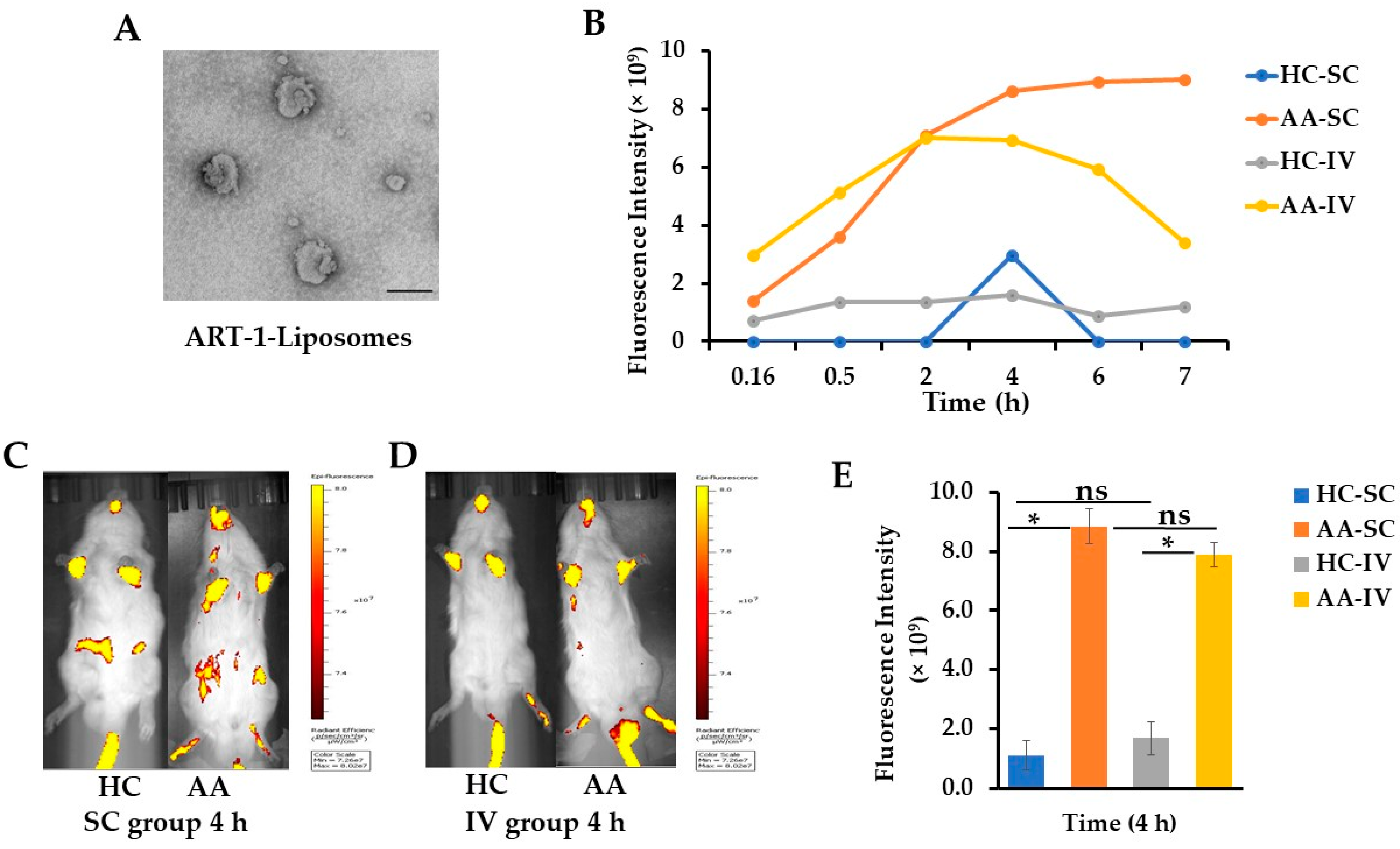 Ijms 24 06883 g001a Ijms 24 06883 g001a