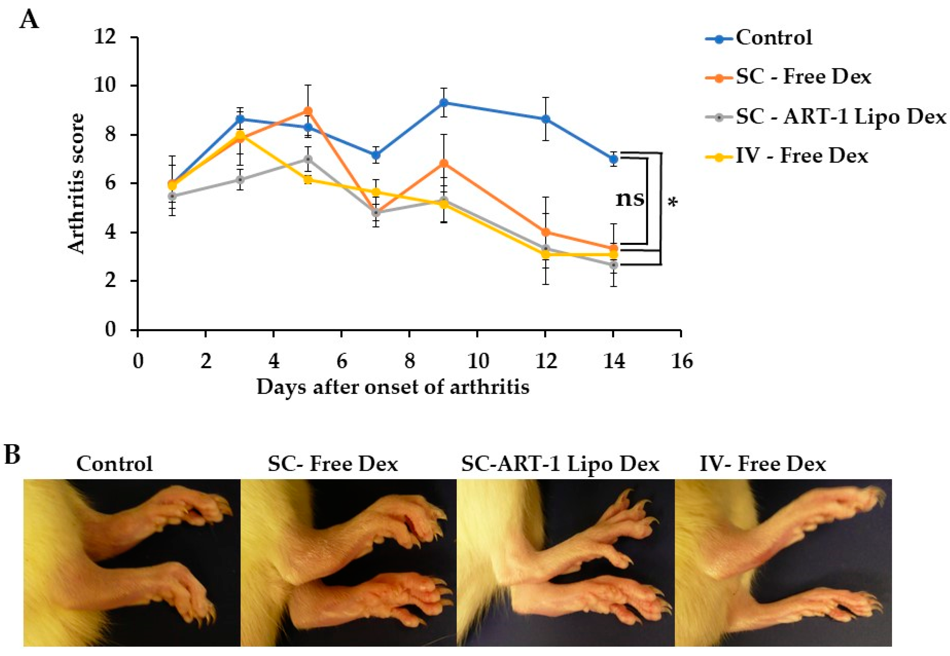 Ijms 24 06883 g002 Ijms 24 06883 g002