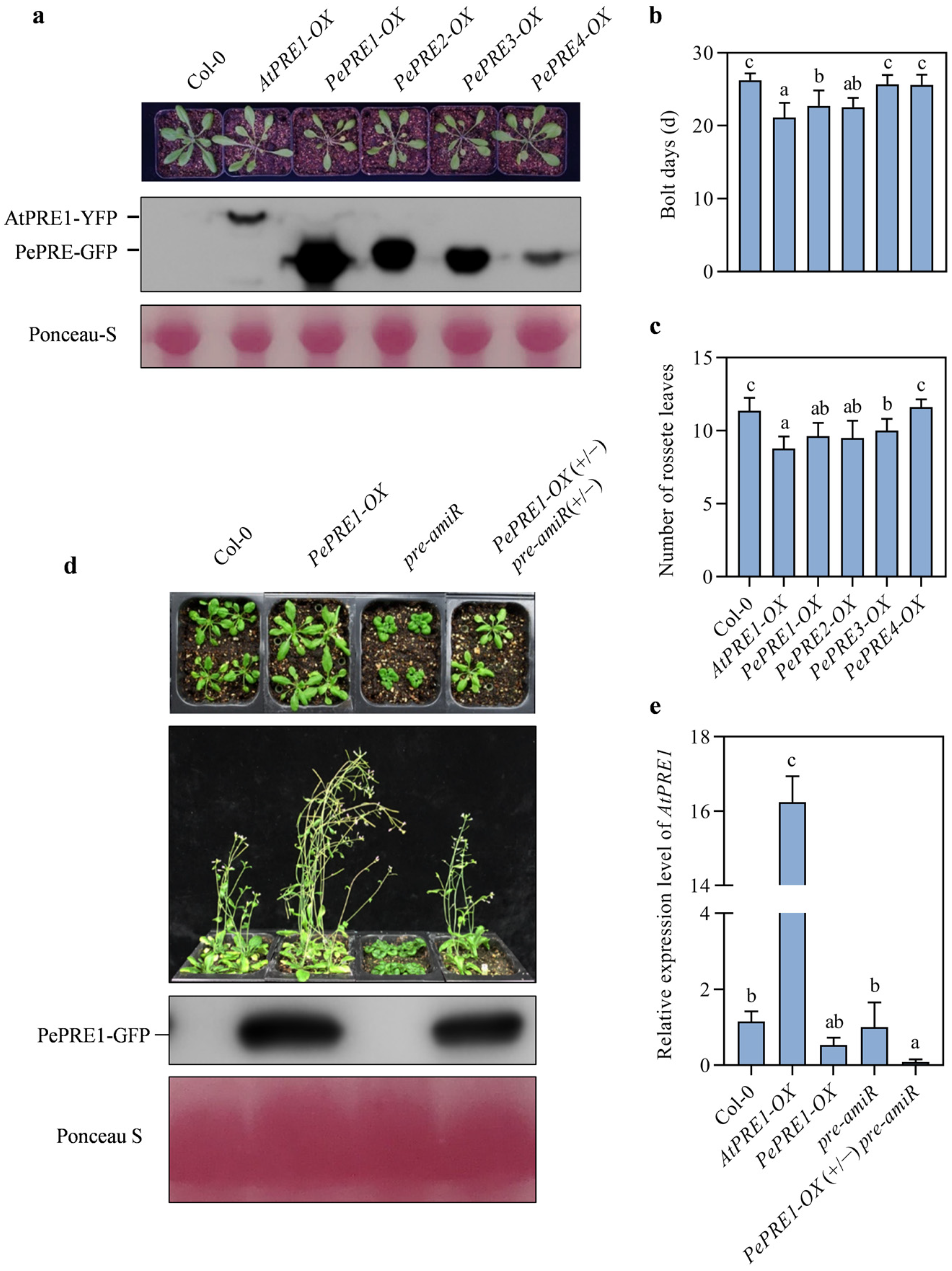 Ijms 24 06886 g003 Ijms 24 06886 g003