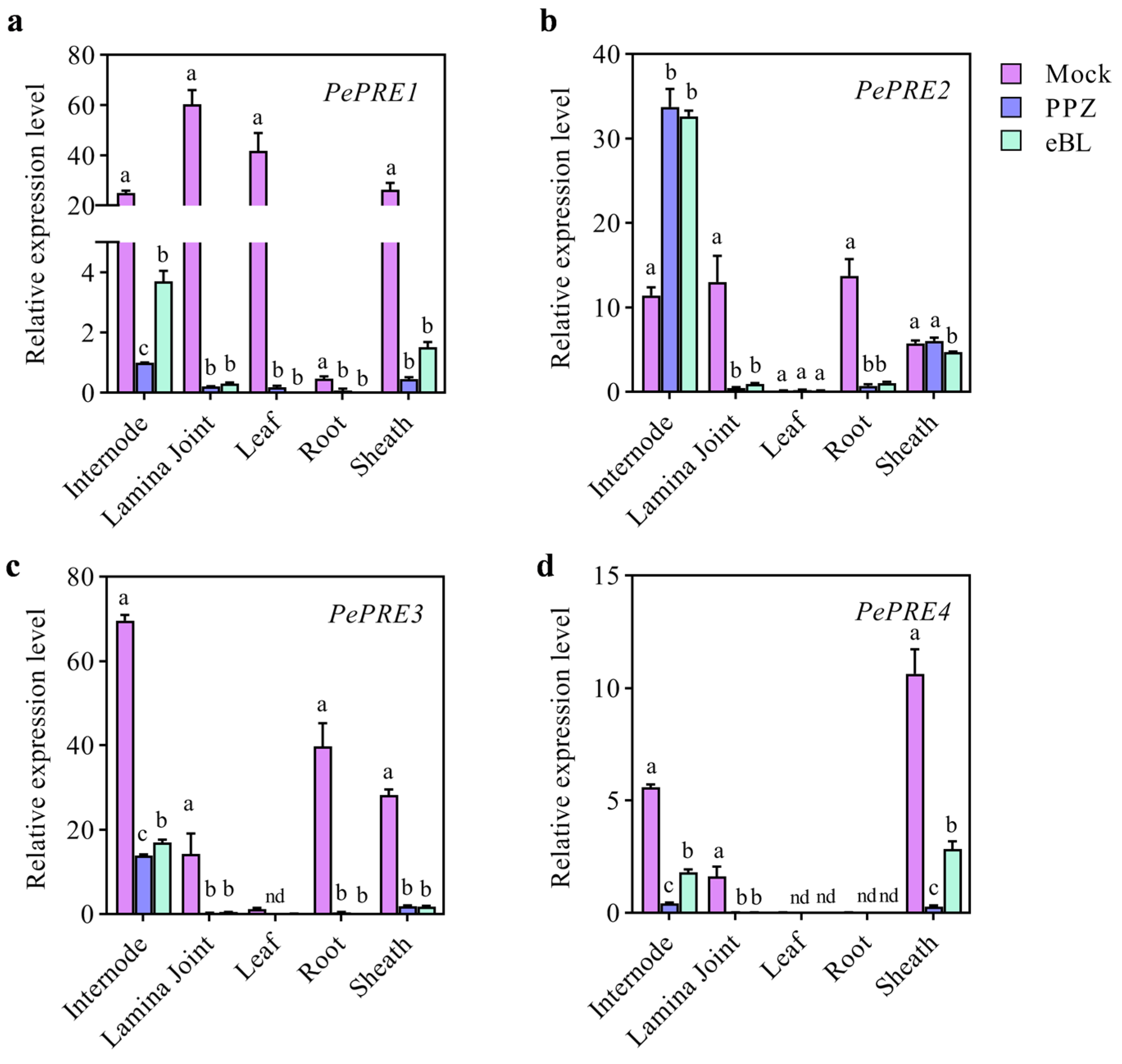 Ijms 24 06886 g005 Ijms 24 06886 g005