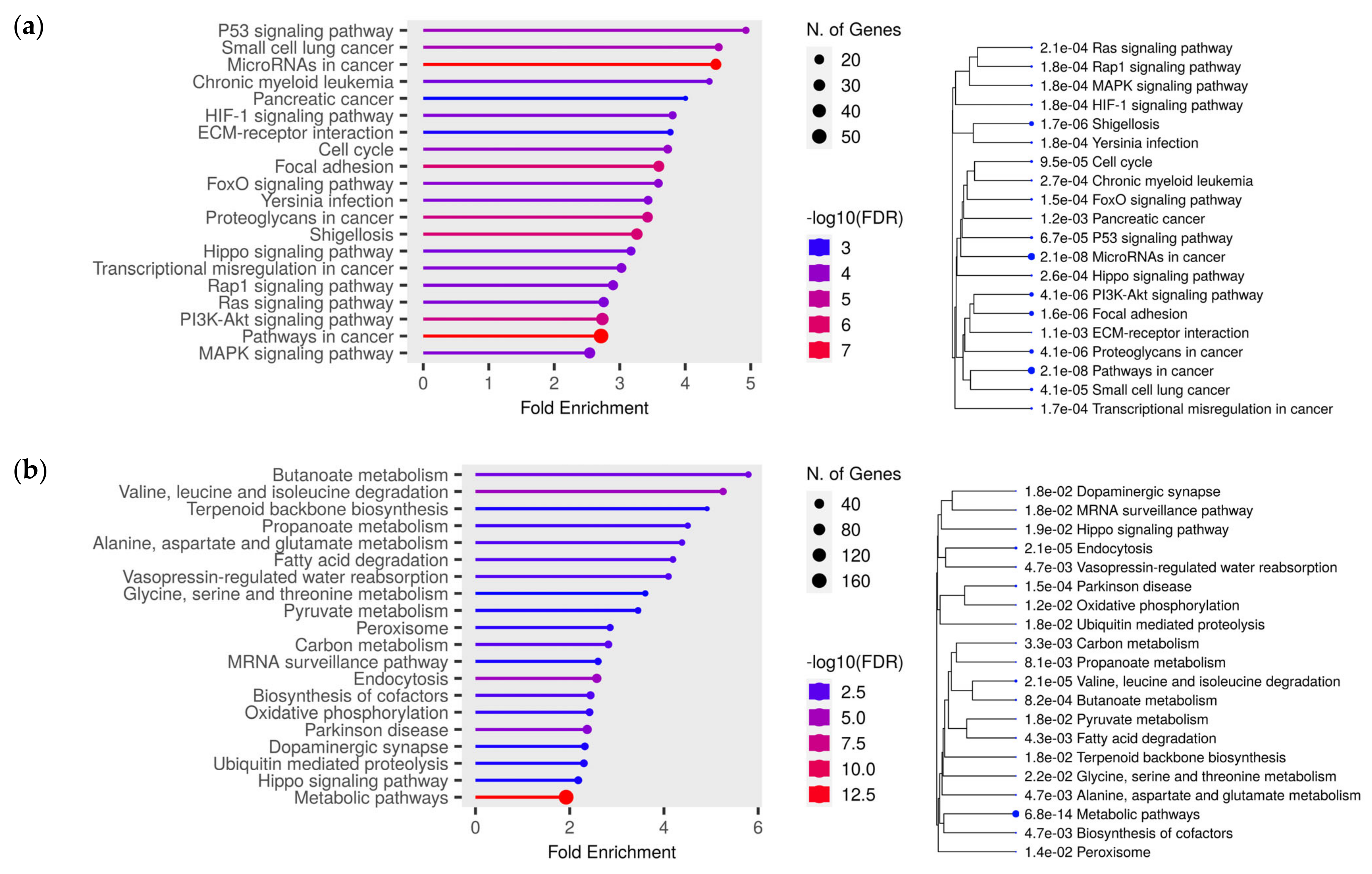 Ijms 24 06909 g006 Ijms 24 06909 g006
