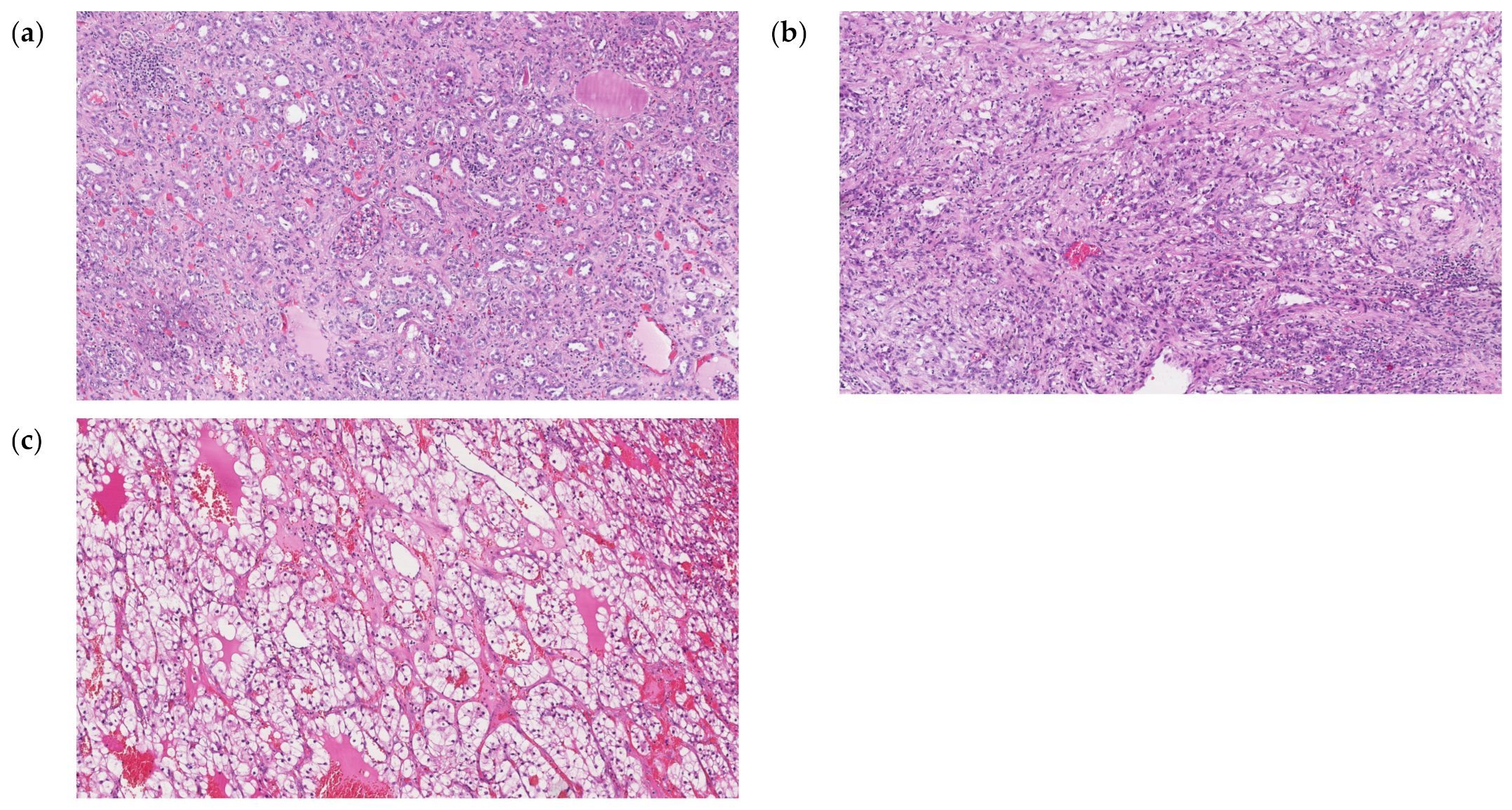 Ijms 24 06909 g007 Ijms 24 06909 g007